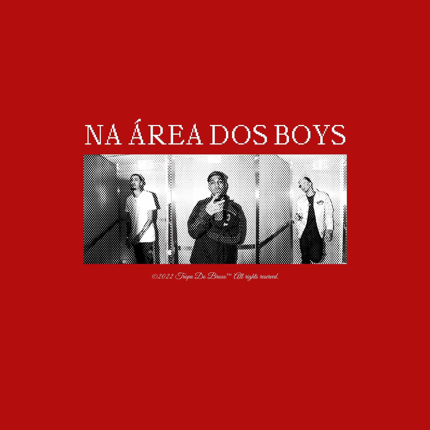 Постер альбома Na Área dos Boys (feat. Veigh & Wall Hein)