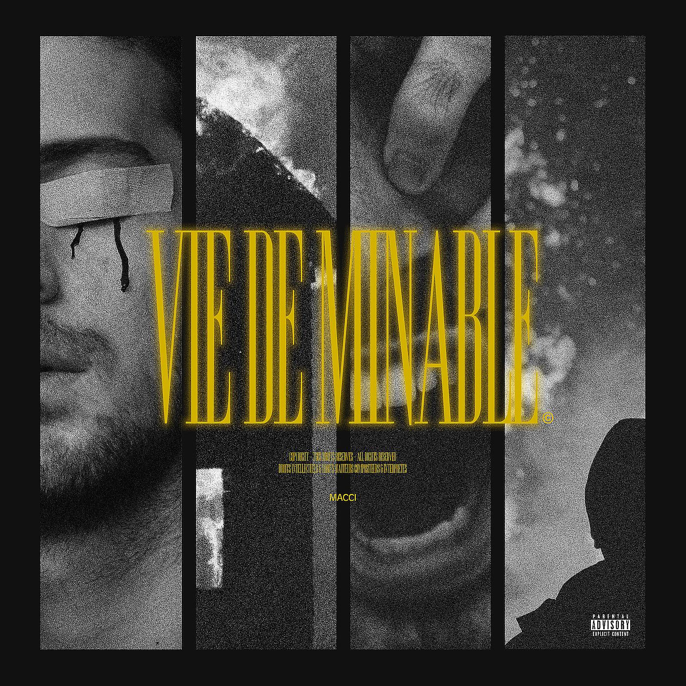 Постер альбома Vie de Minable