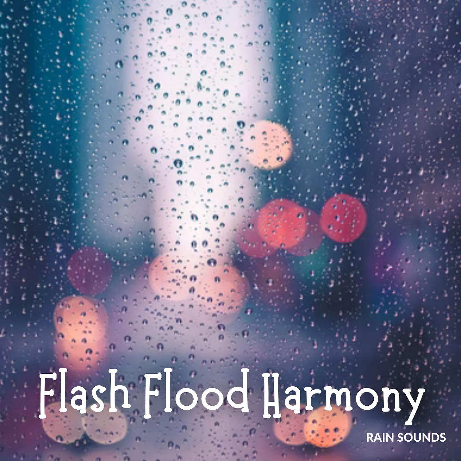 Постер альбома Rain: Flash Flood Harmony