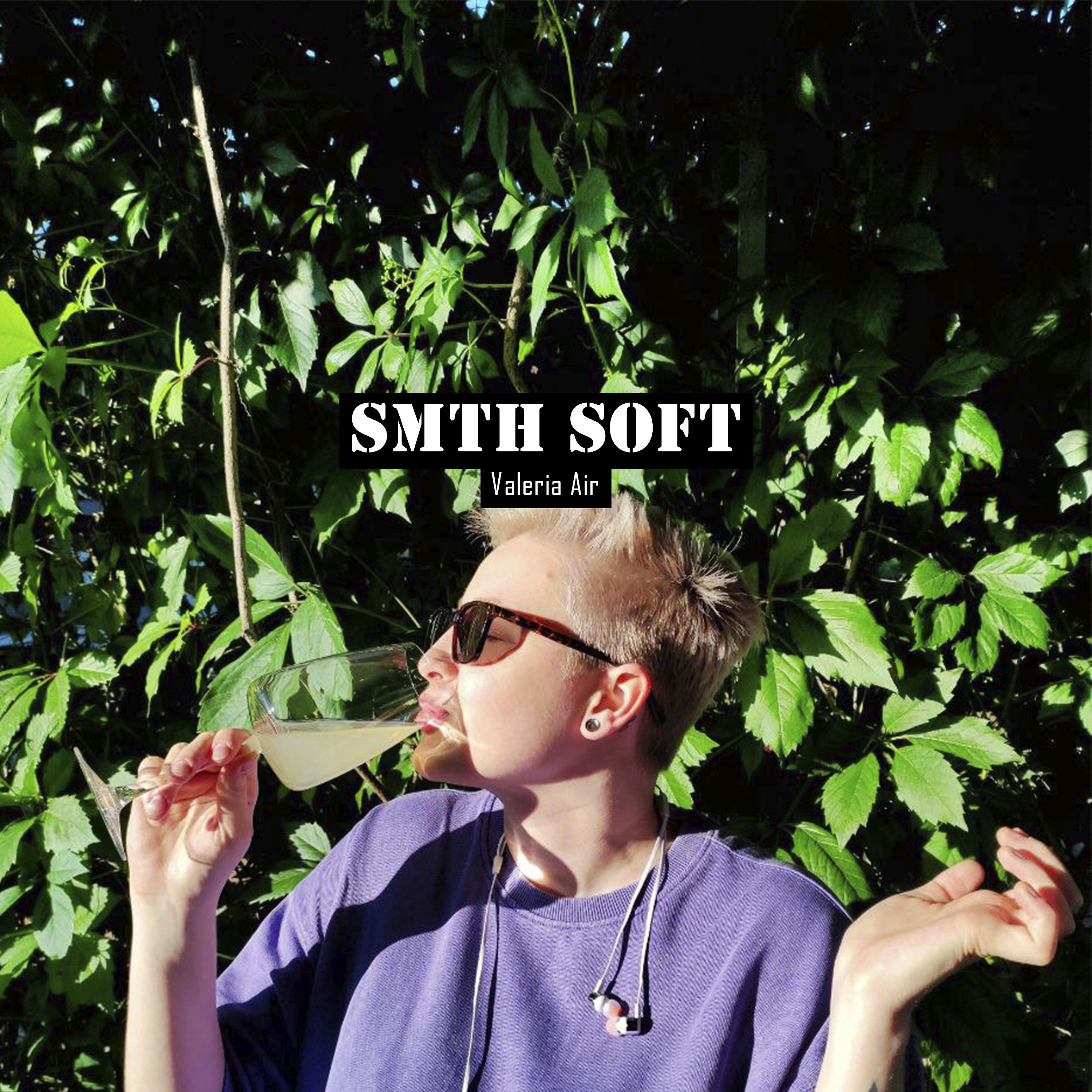 Постер альбома Smth Soft