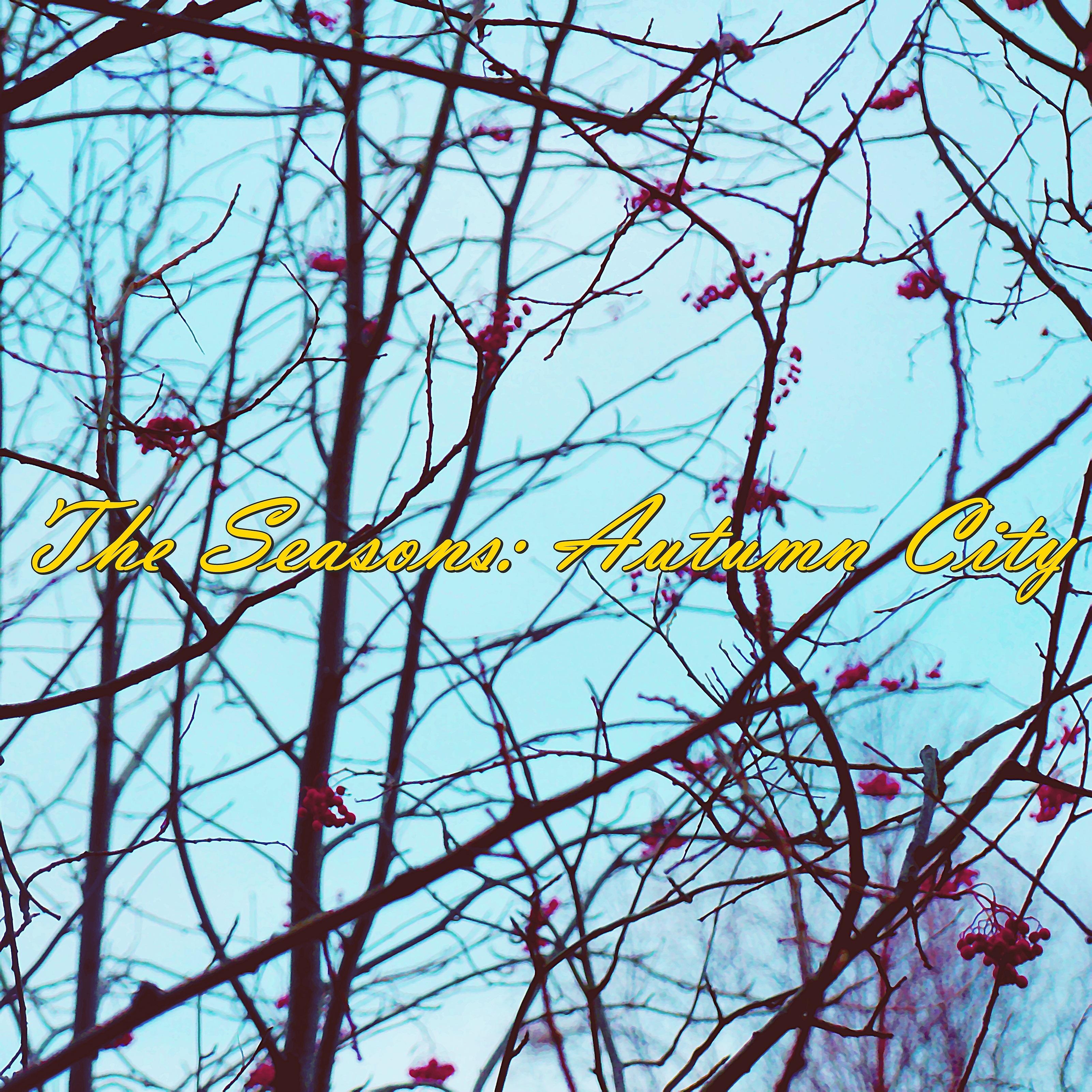 Постер альбома The Seasons: Autumn City