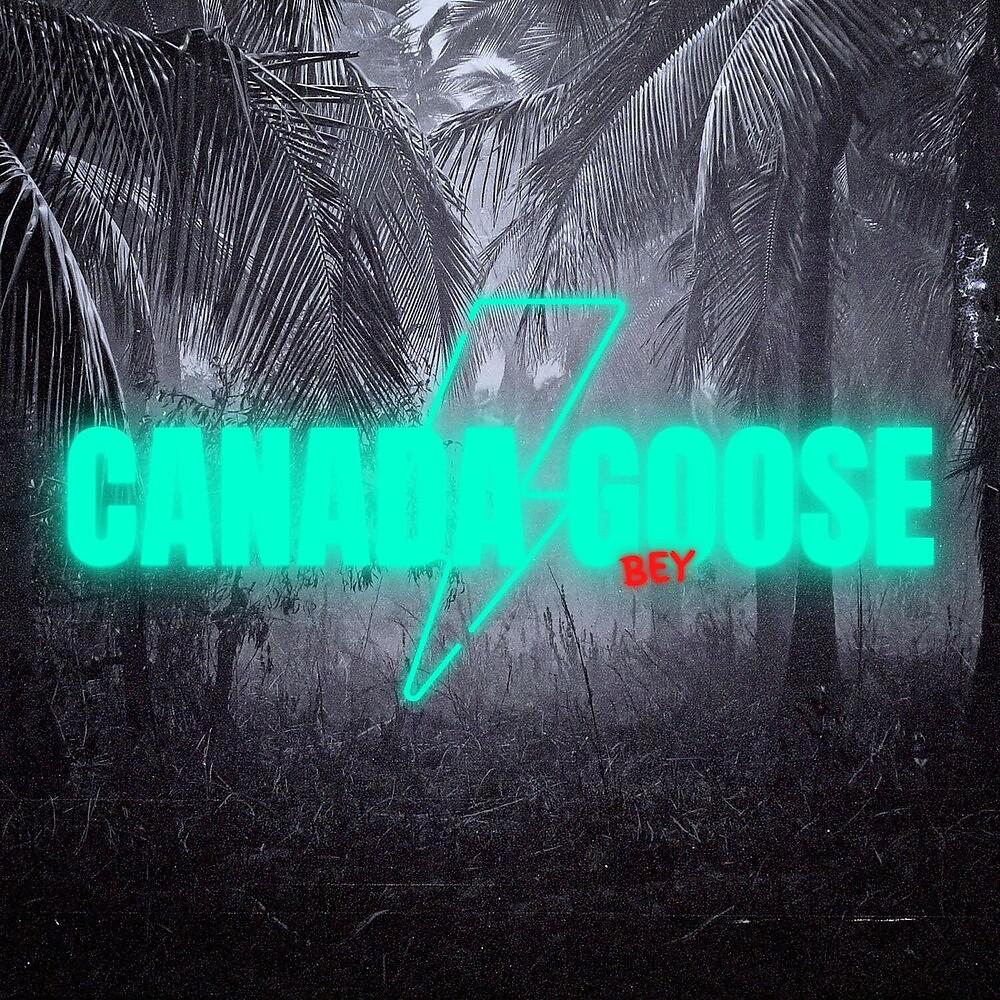 Постер альбома Canada Goose