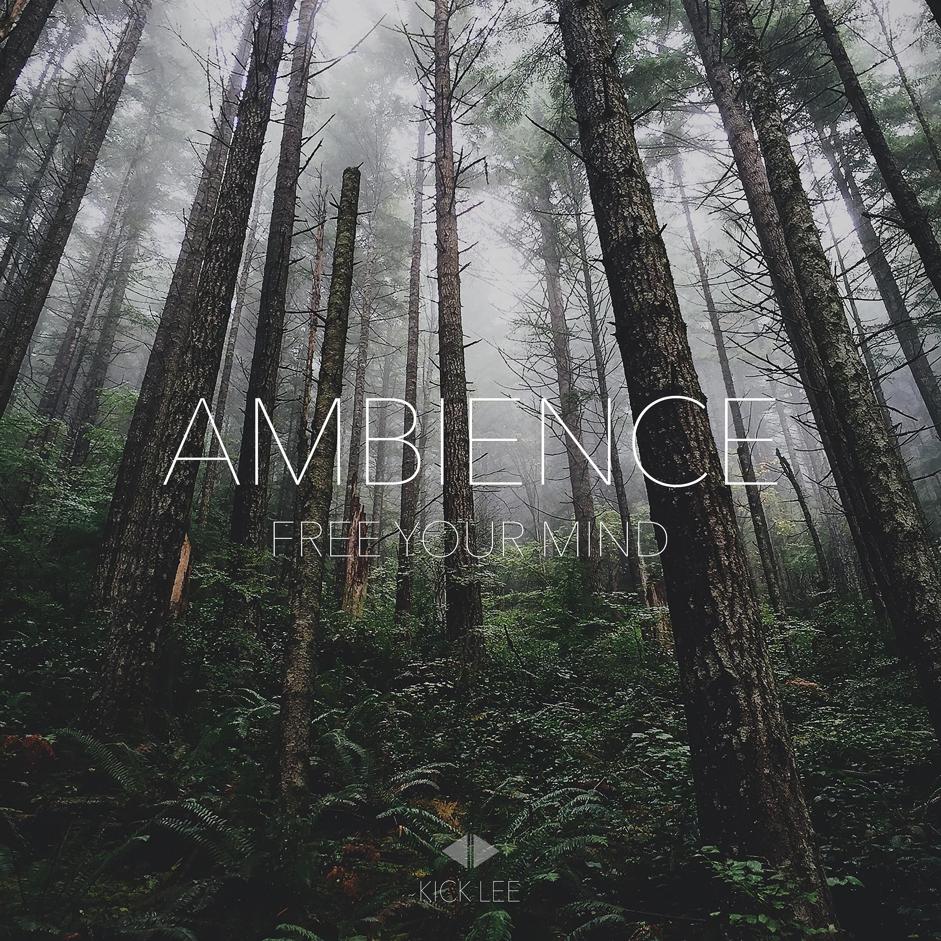 Постер альбома Ambience