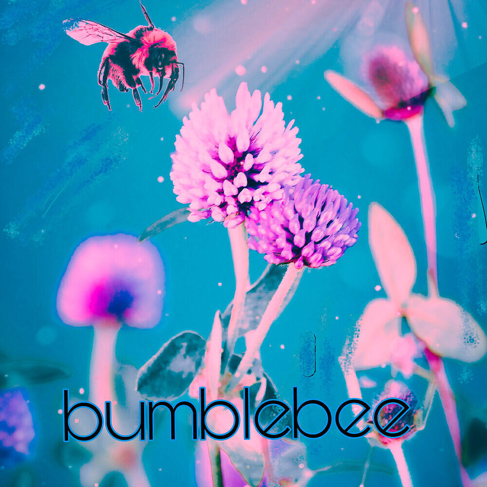 heto - Bumblebee