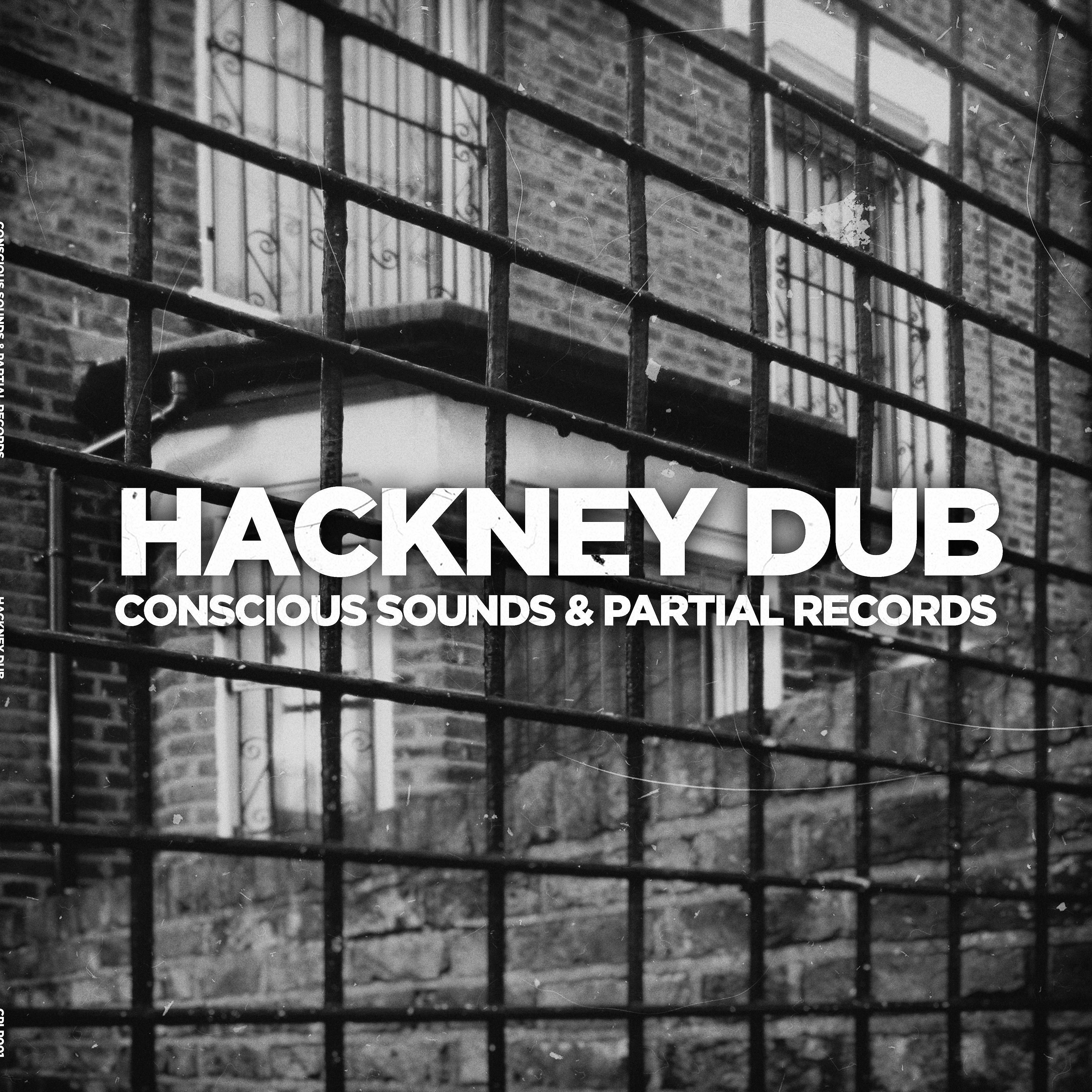 Постер альбома Hackney Dub