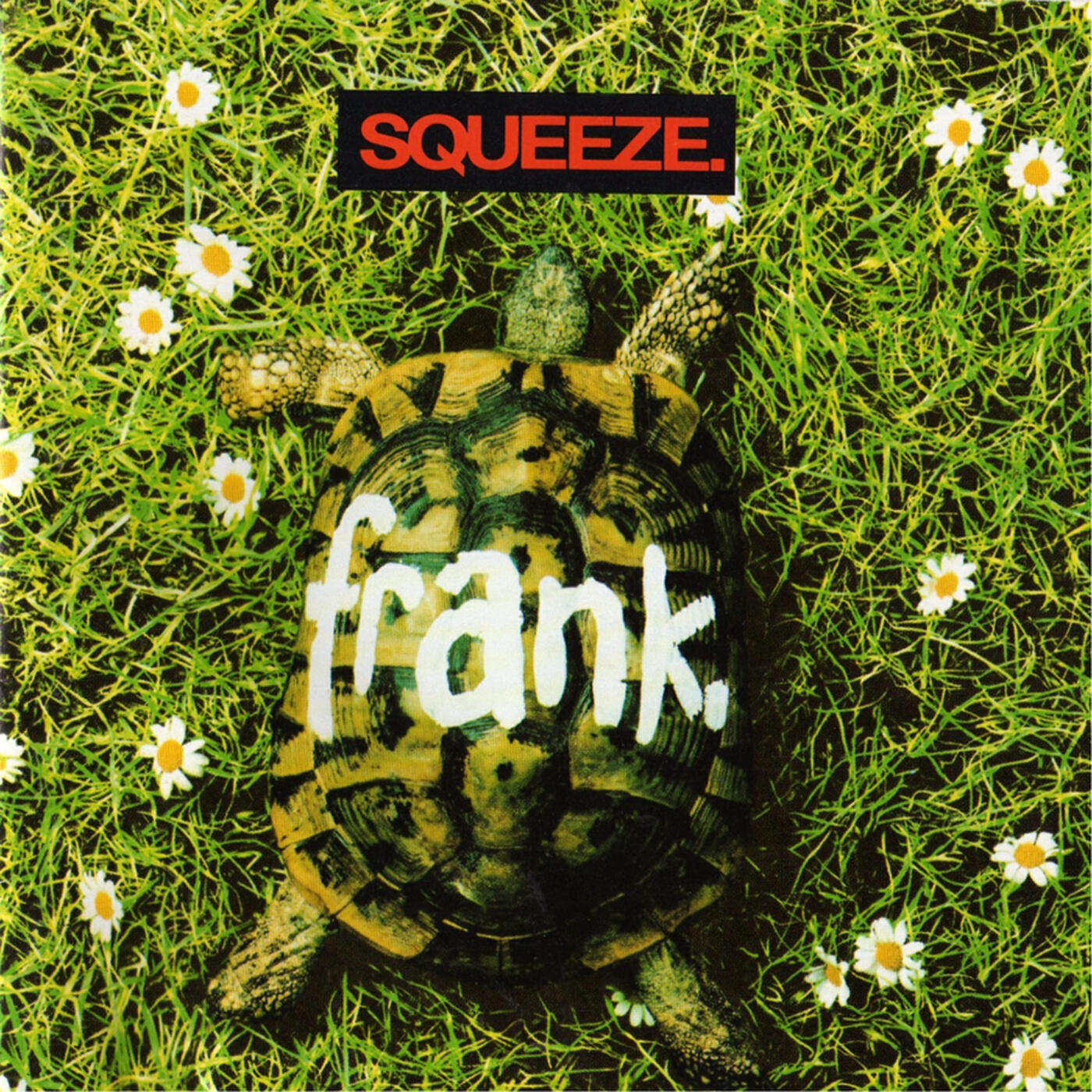 Squeeze - Dr. Jazz
