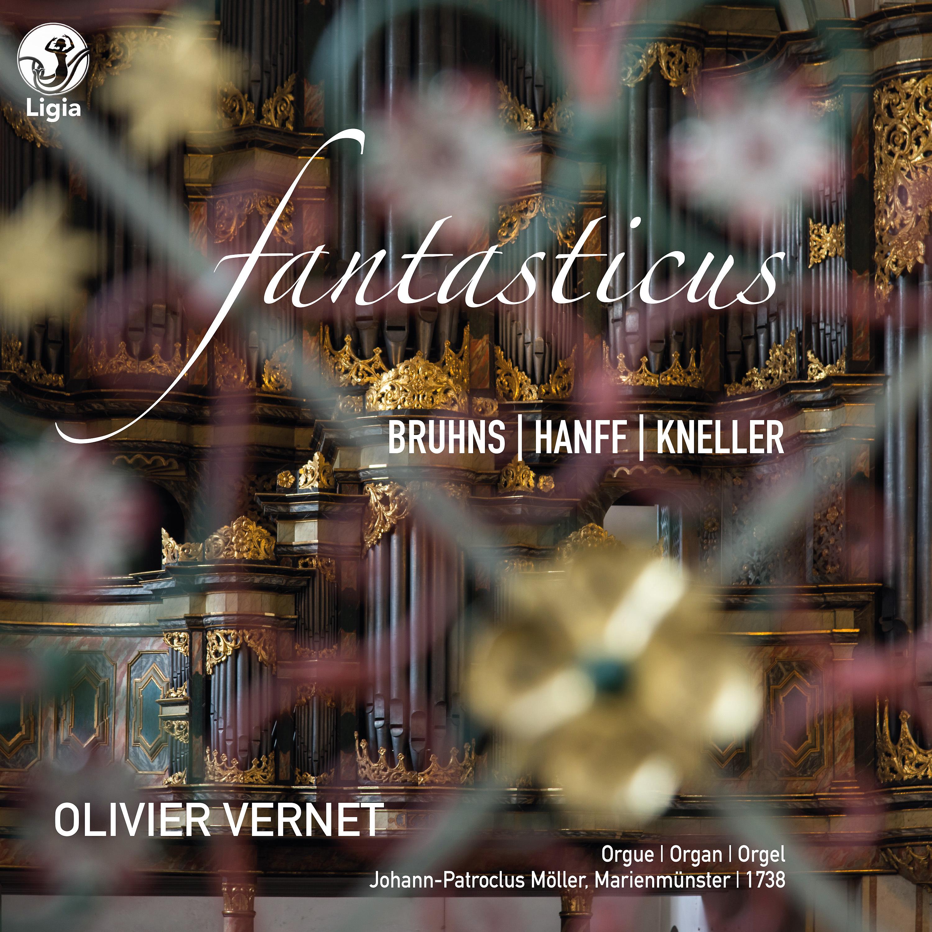 Постер альбома Bruhns, Hanff & Kneller: Fantasticus
