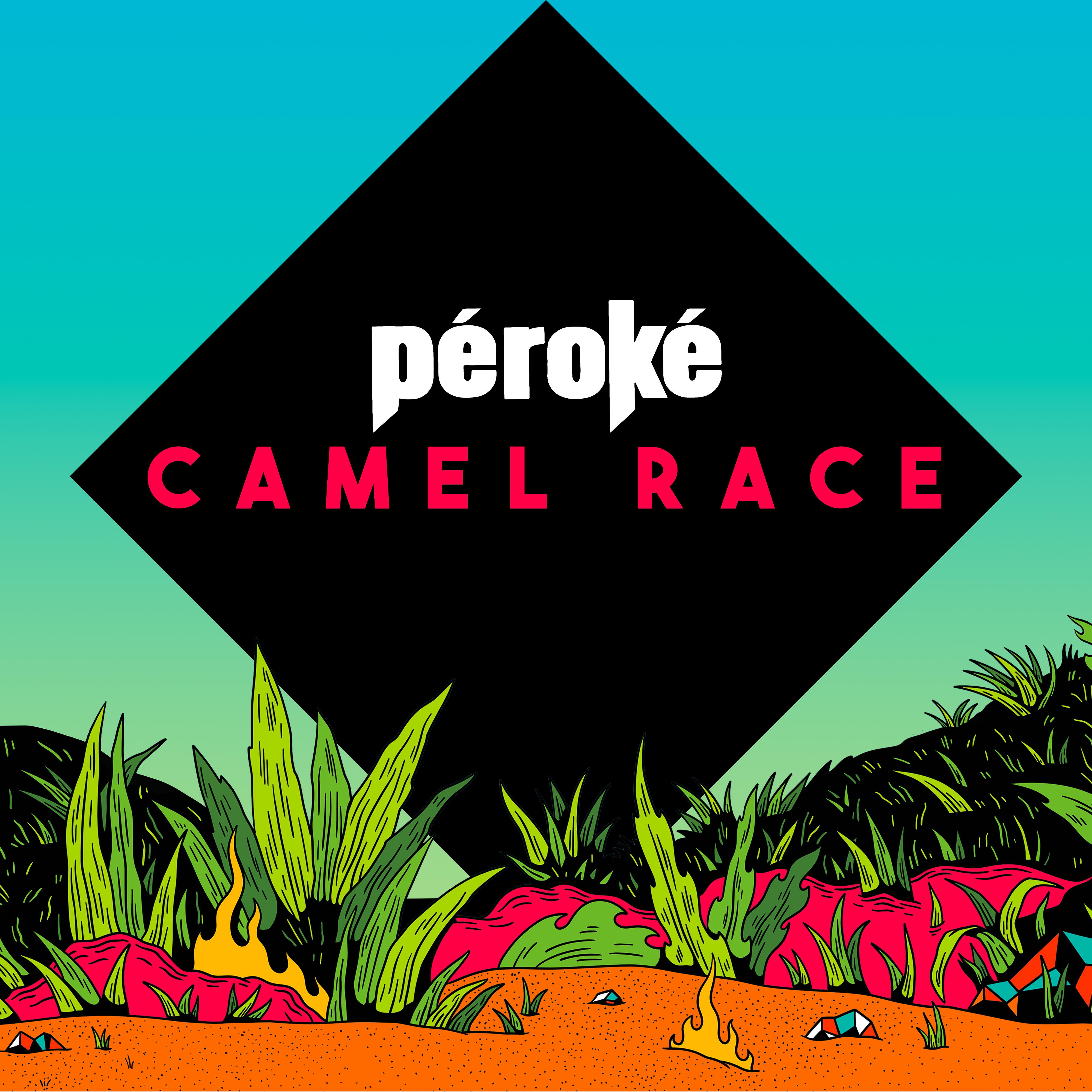 Постер альбома Camel Race