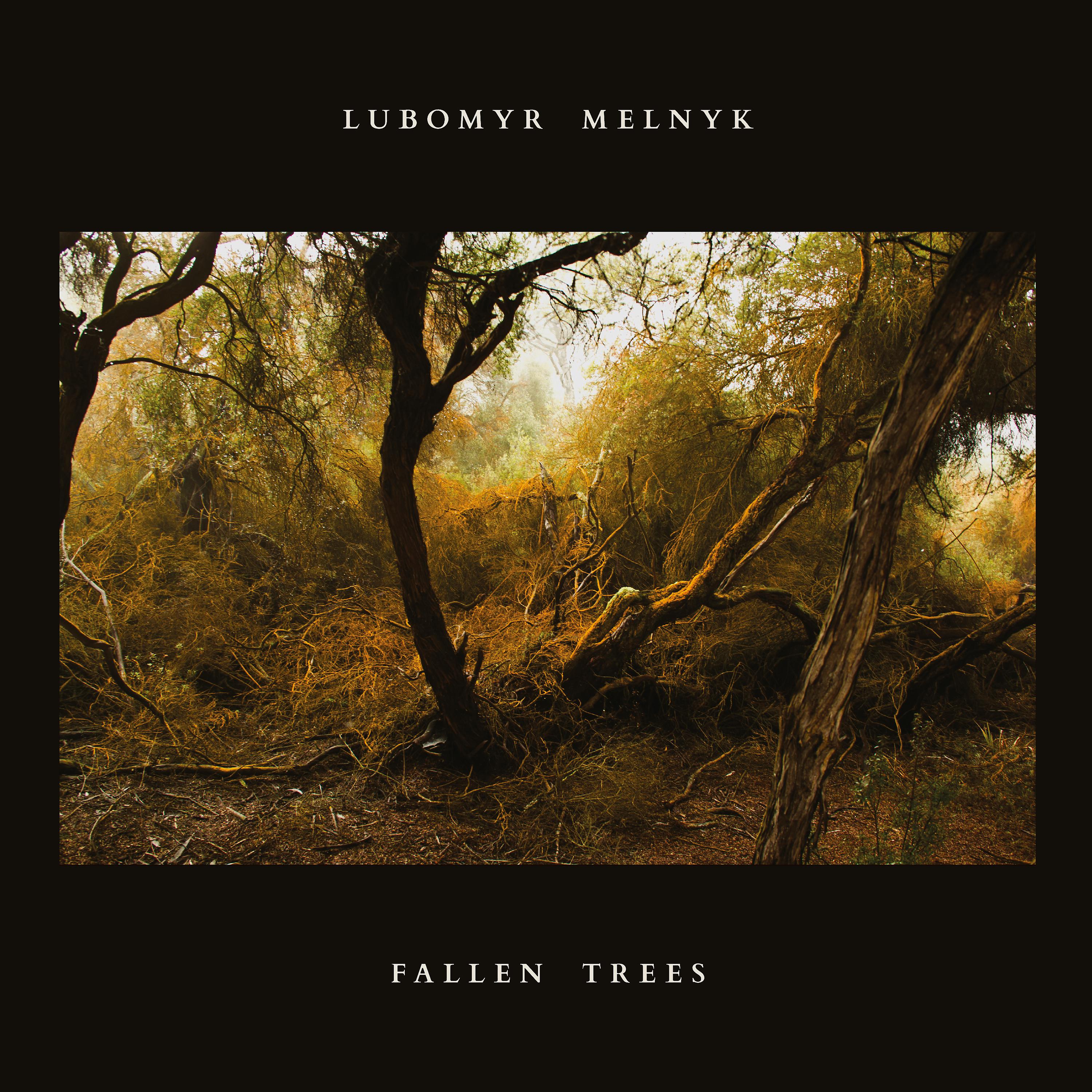 Постер альбома Fallen Trees