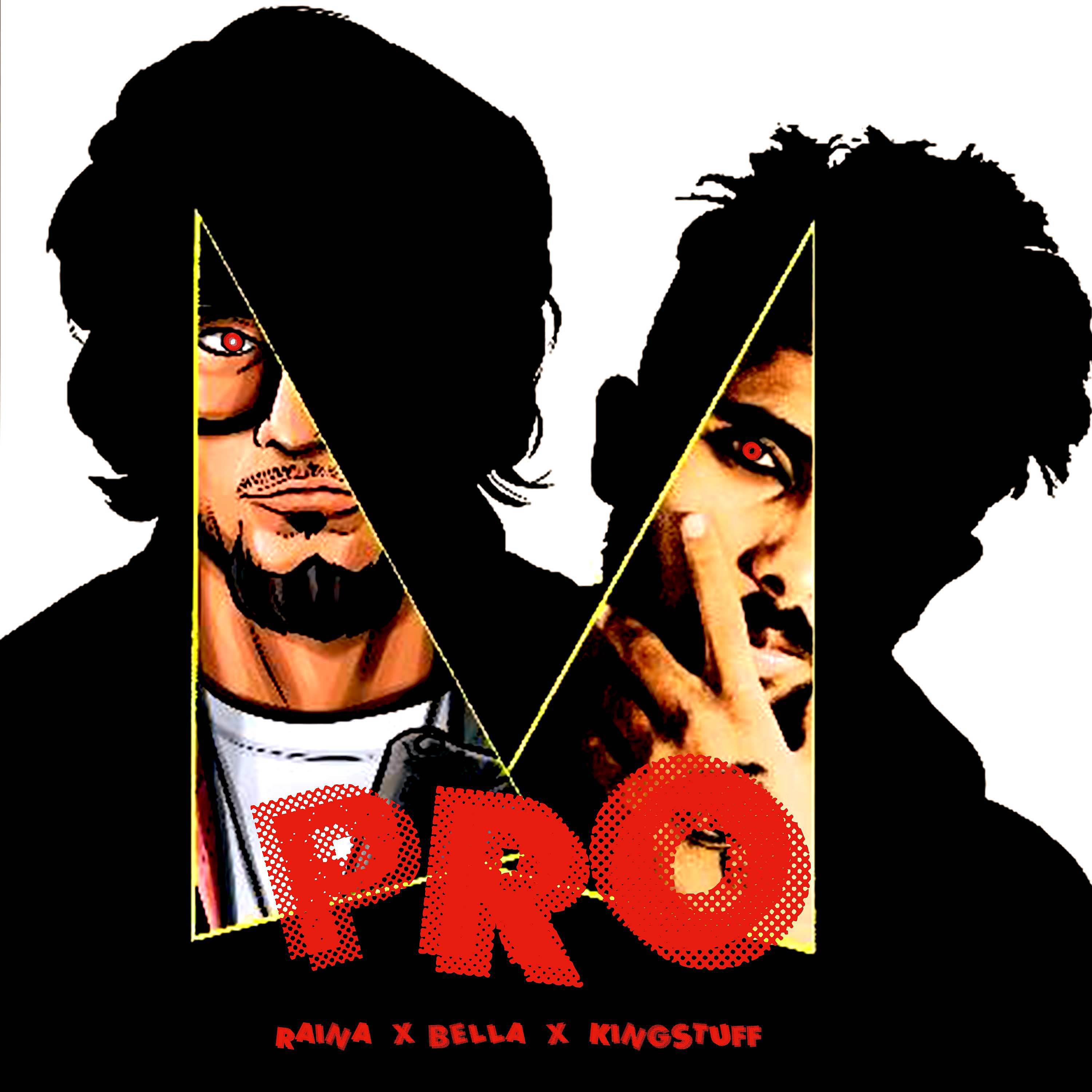 Постер альбома Pro