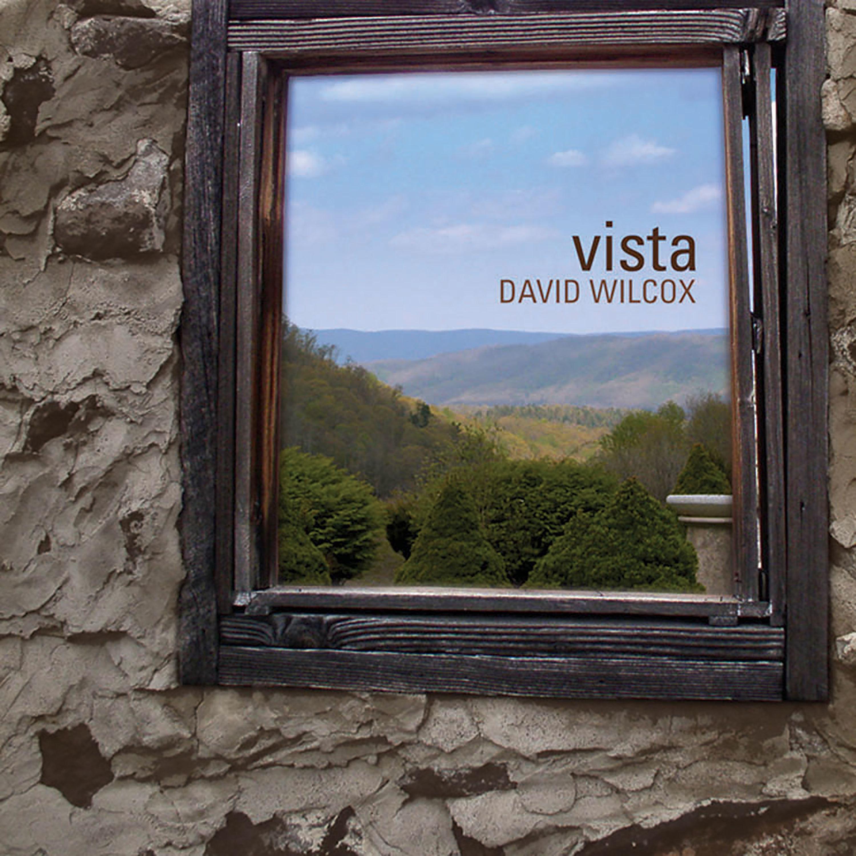 Постер альбома Vista