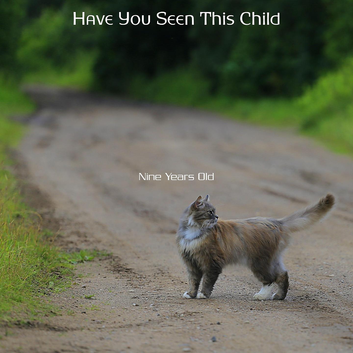 Постер альбома Have You Seen This Child