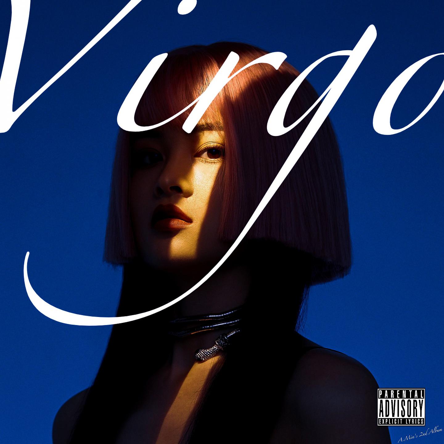 Постер альбома Virgo