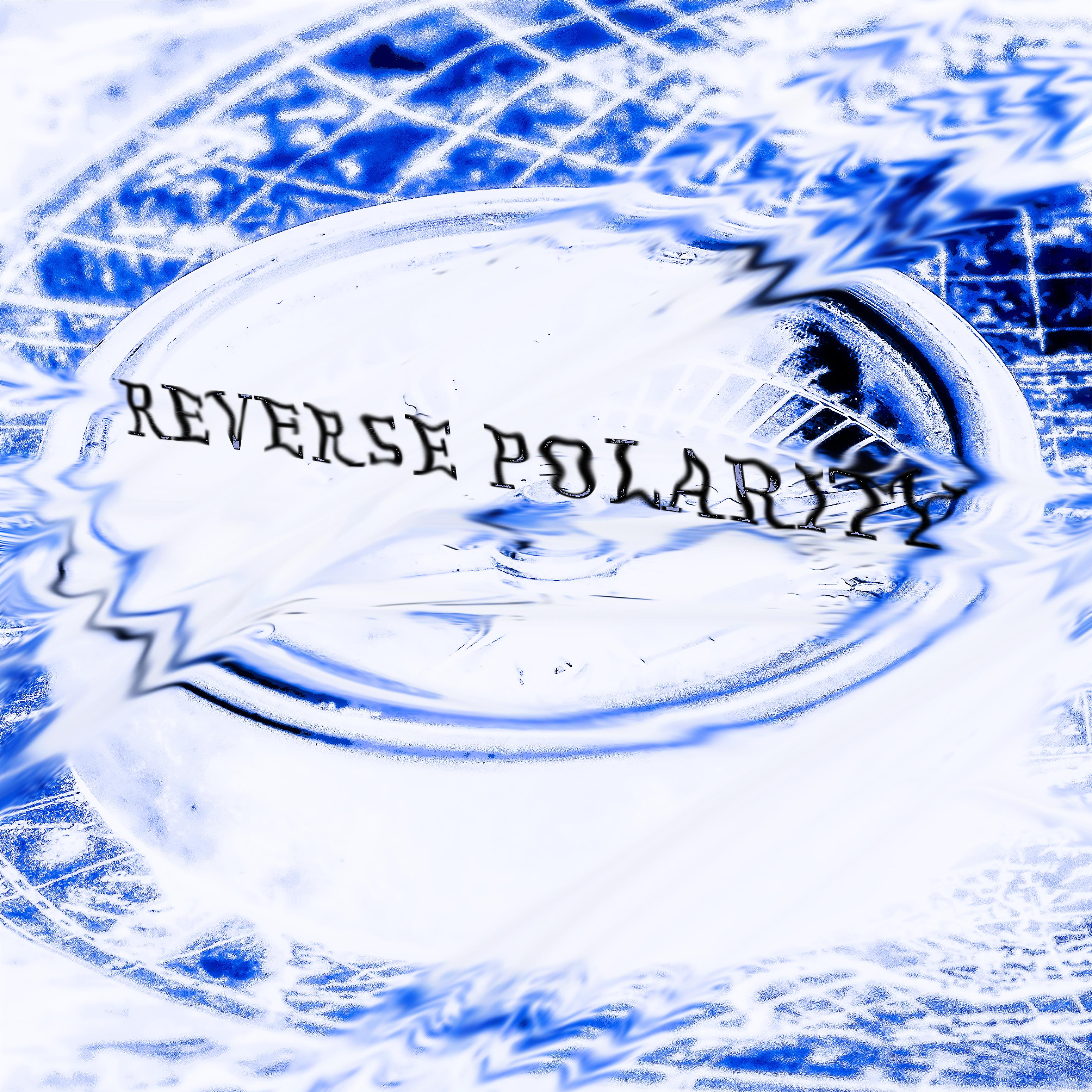 Постер альбома Reverse Polarity