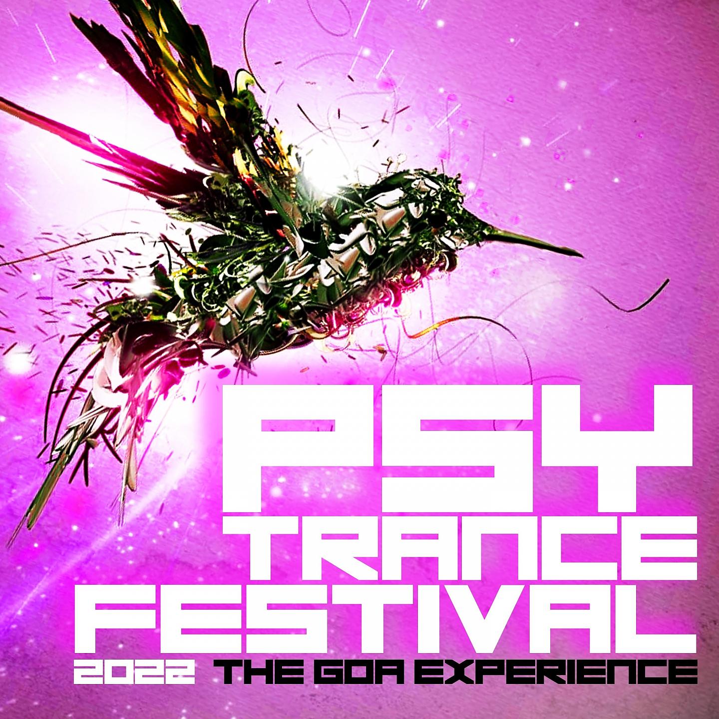 Постер альбома Psytrance Festival 2022: The Goa Experience