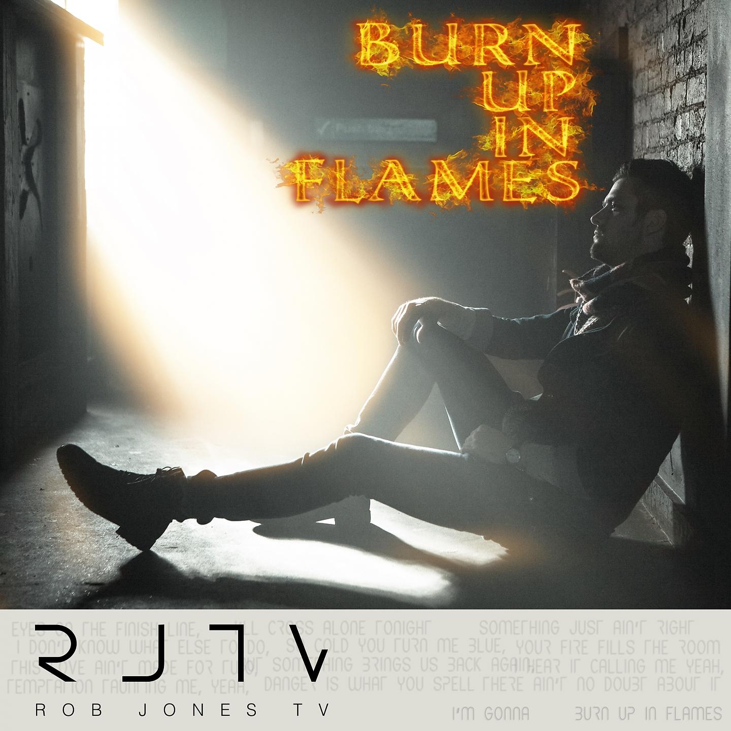 Постер альбома Burn up in Flames