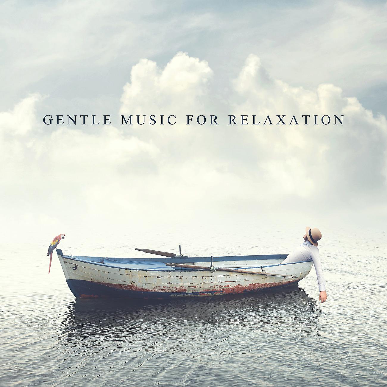 Постер альбома Gentle Music for Relaxation
