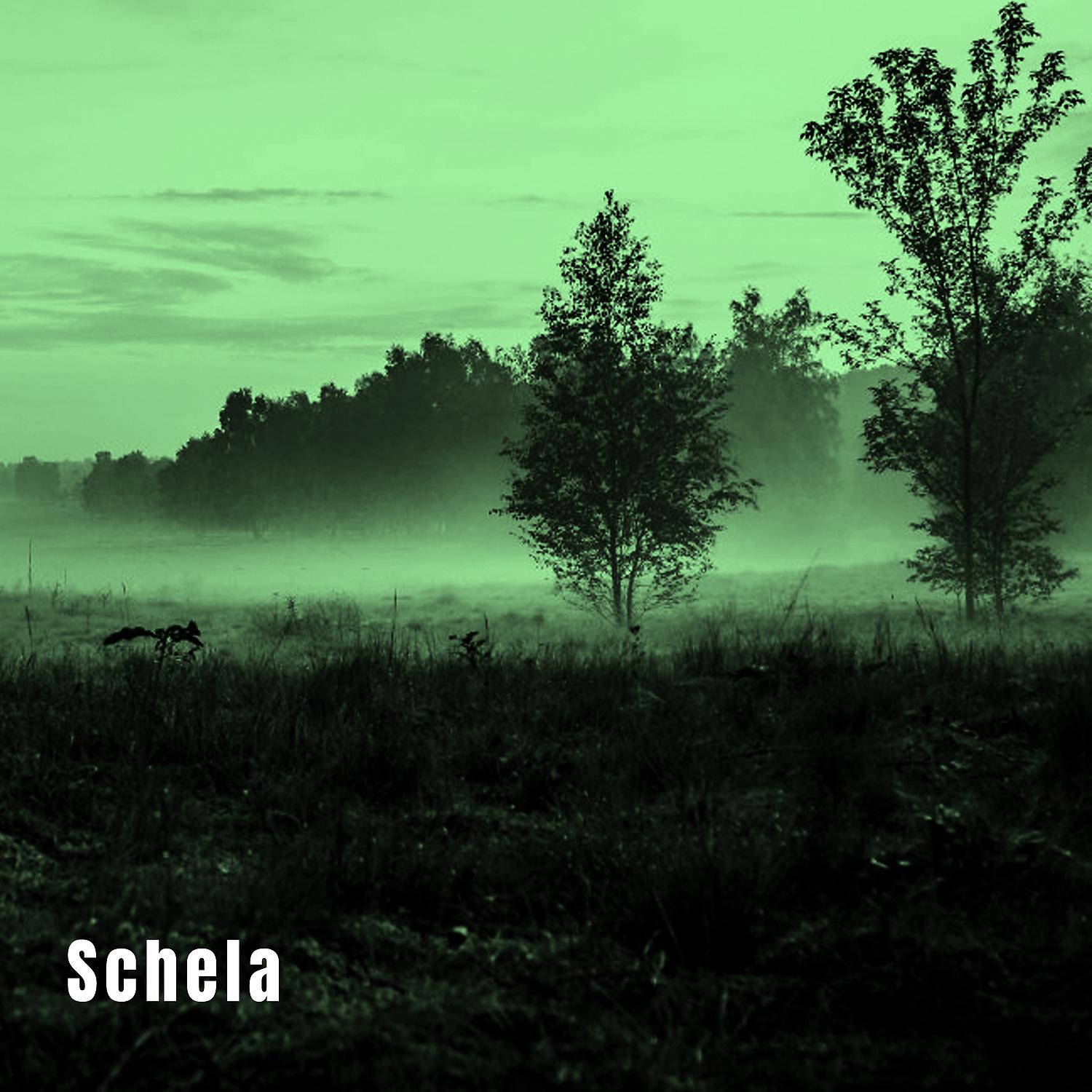Постер альбома Schela