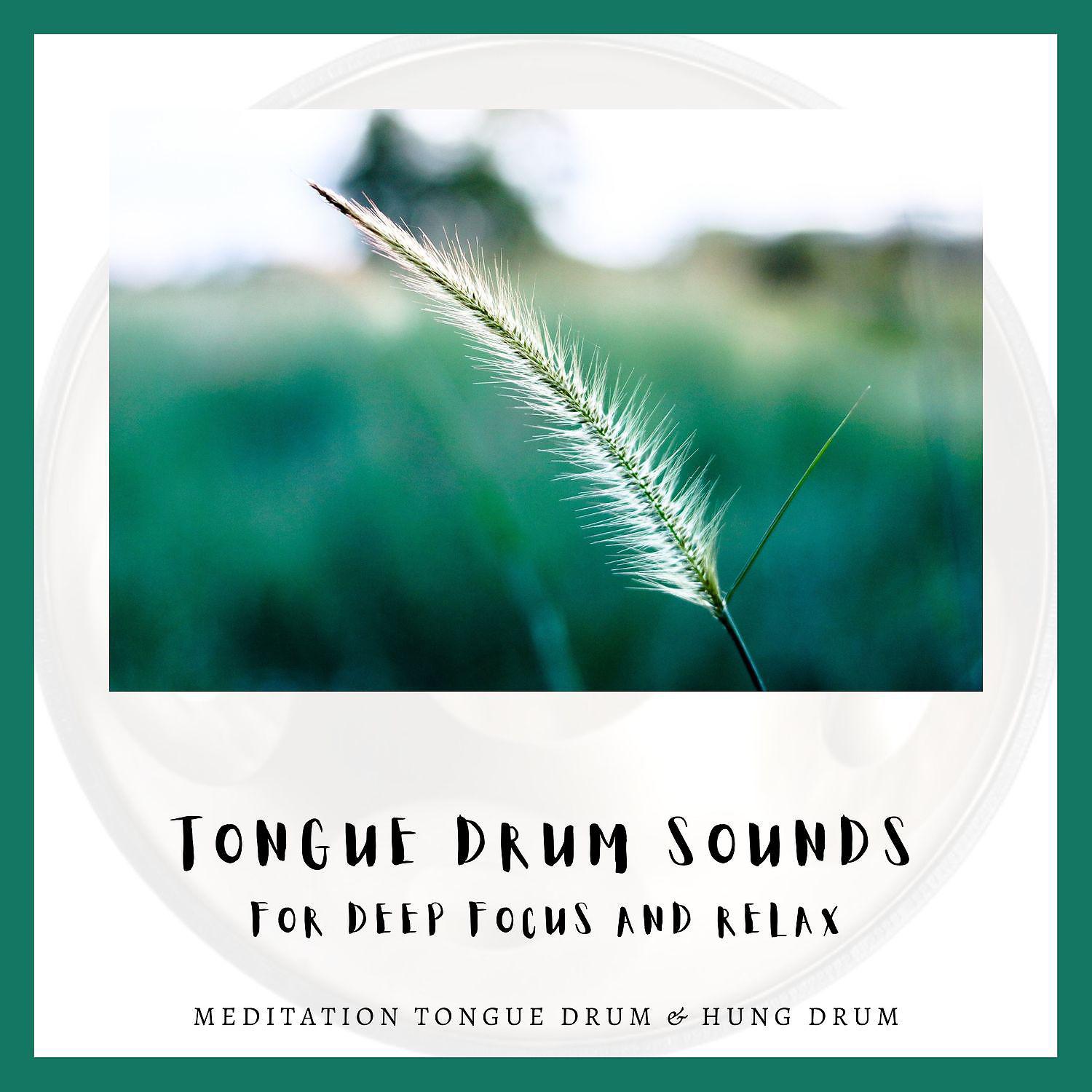 Постер альбома Tongue Drum Sounds for Deep Focus and Relax