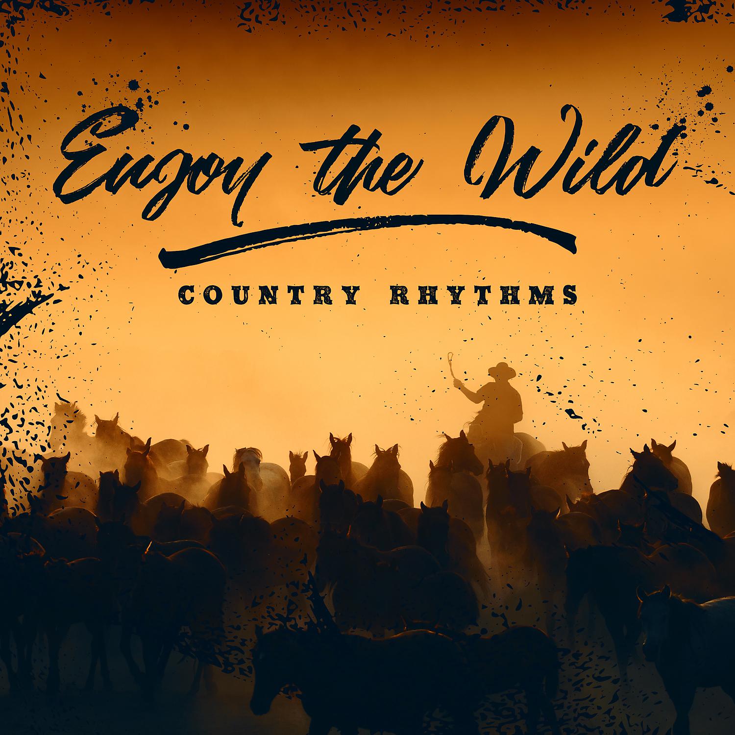 Постер альбома Enjoy the Wild Country Rhythms