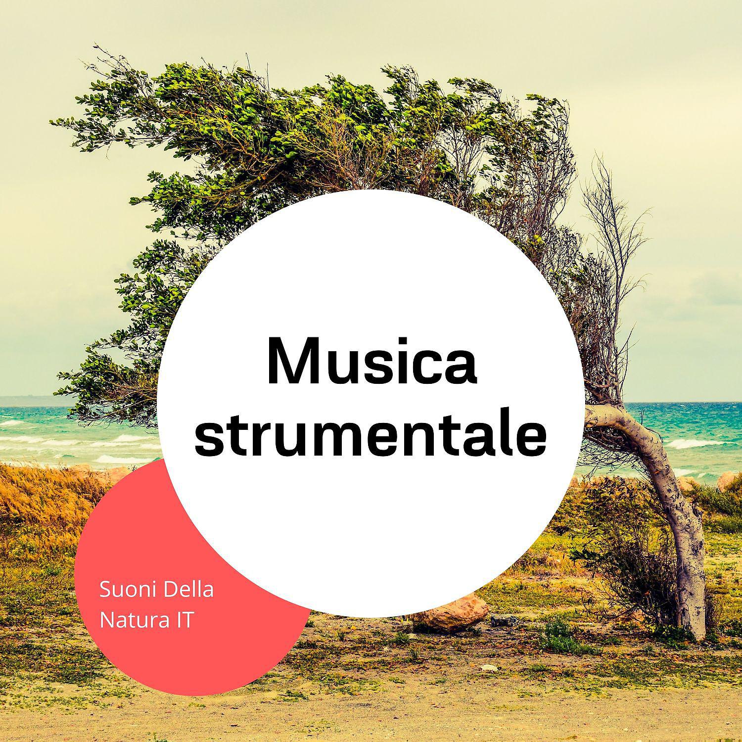 Постер альбома Musica strumentale - Suoni della natura