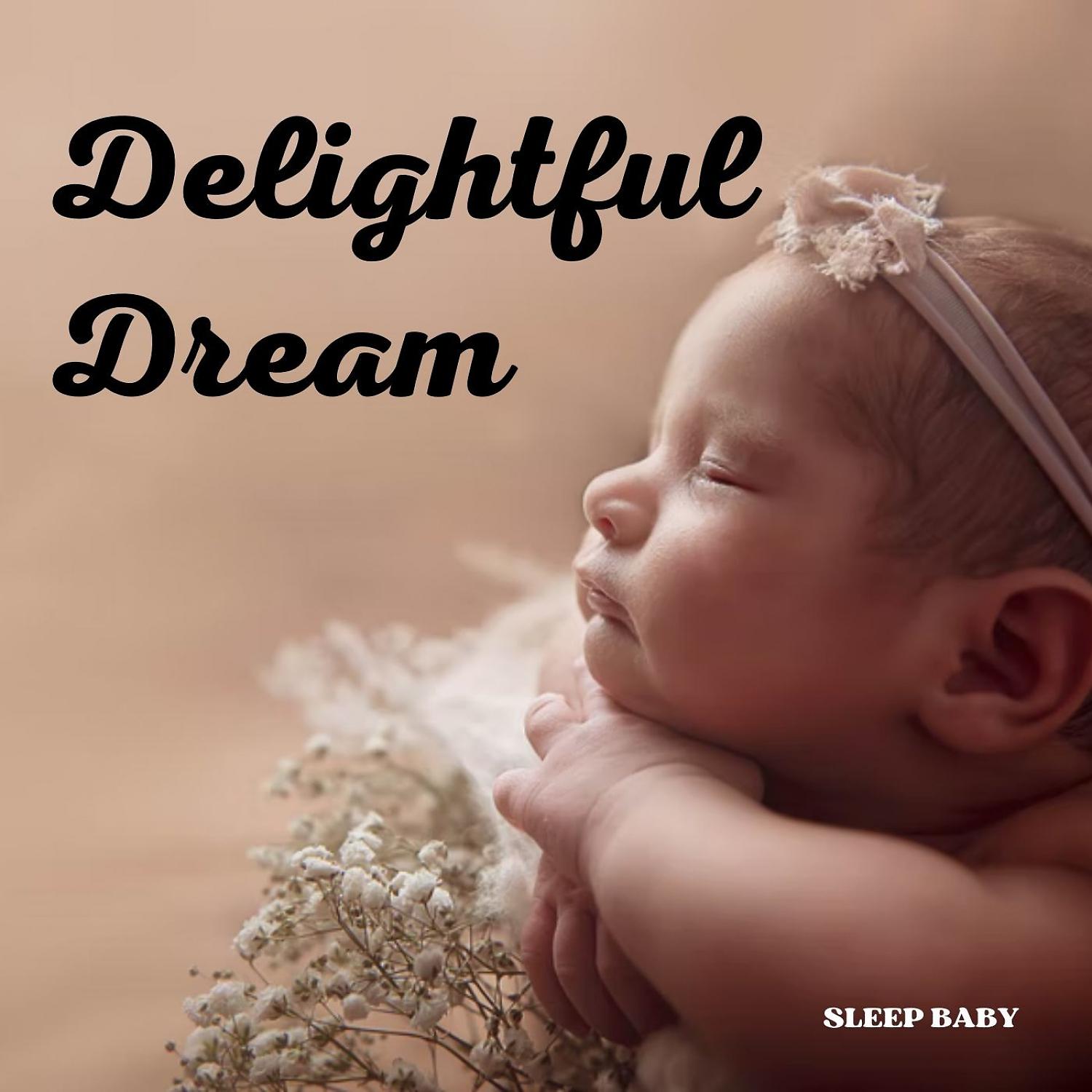 Постер альбома Sleep Baby: Delightful Dream