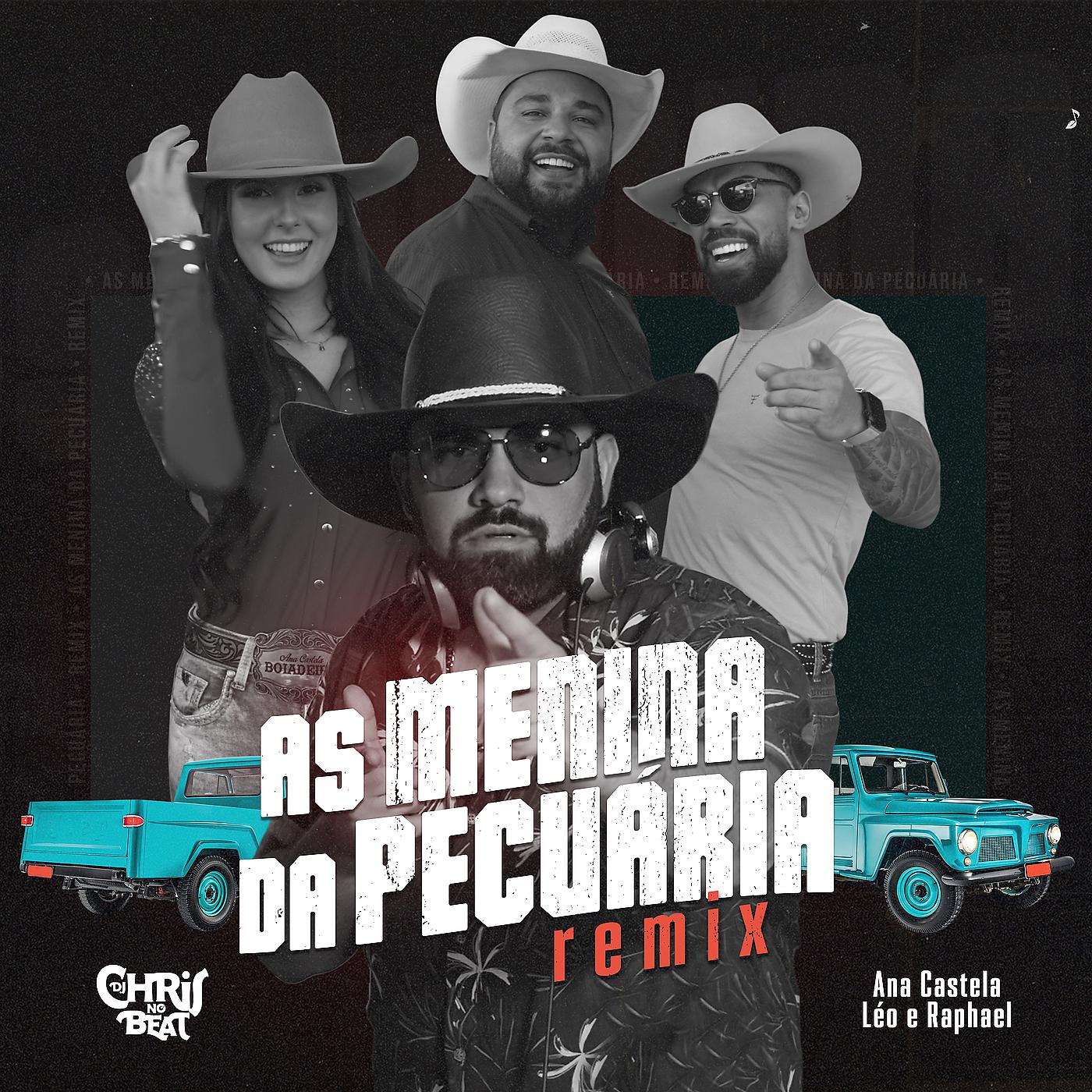 Постер альбома As Menina da Pecuária (Remix)