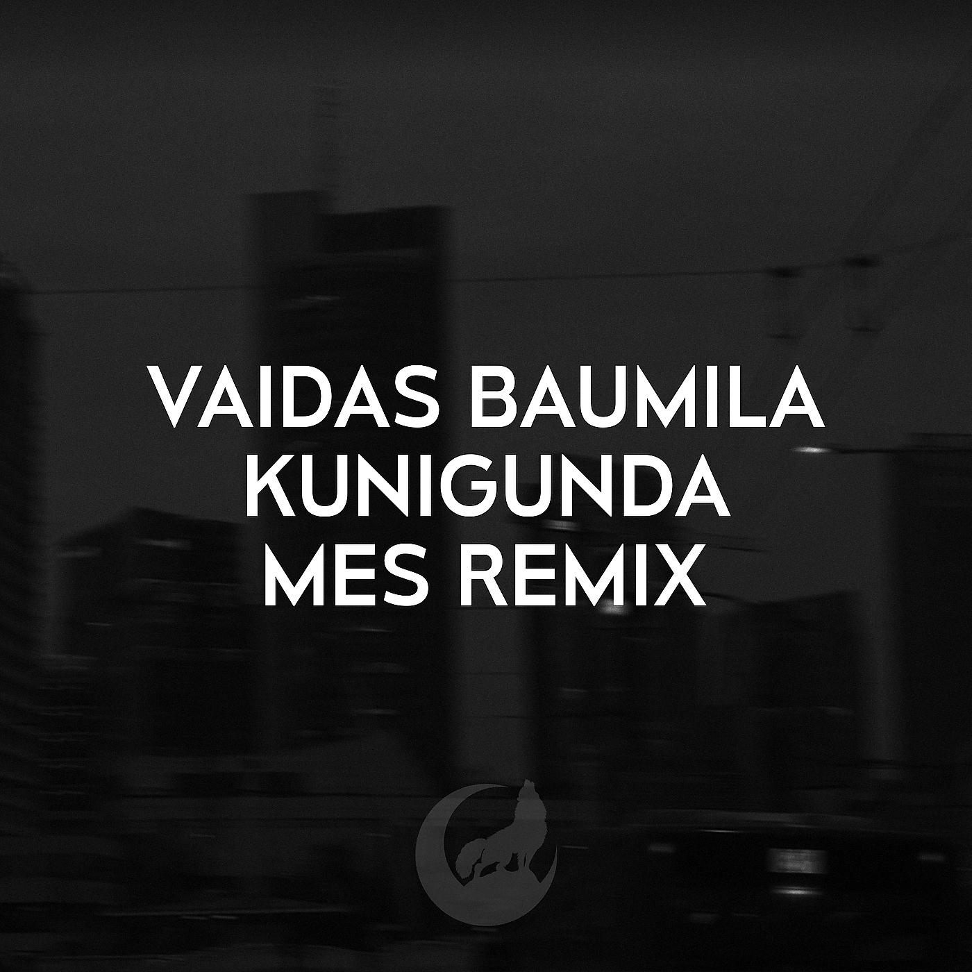 Постер альбома Kunigunda (Mes Remix)