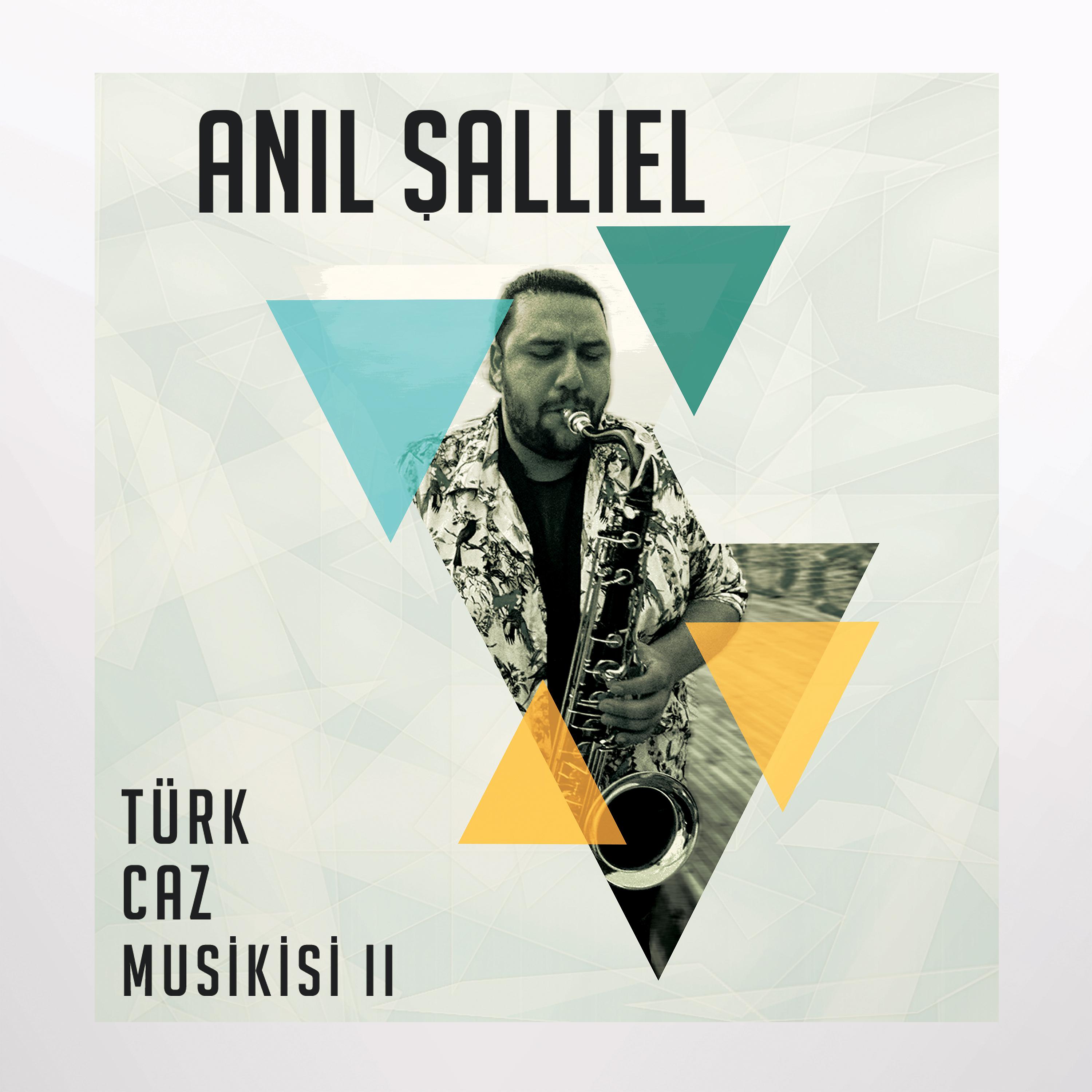Постер альбома Türk Caz Musikisi II