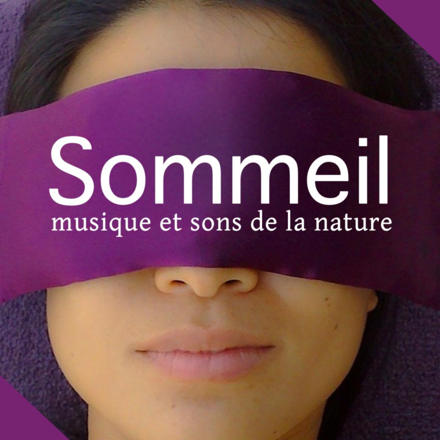 Постер альбома Sommeil musique