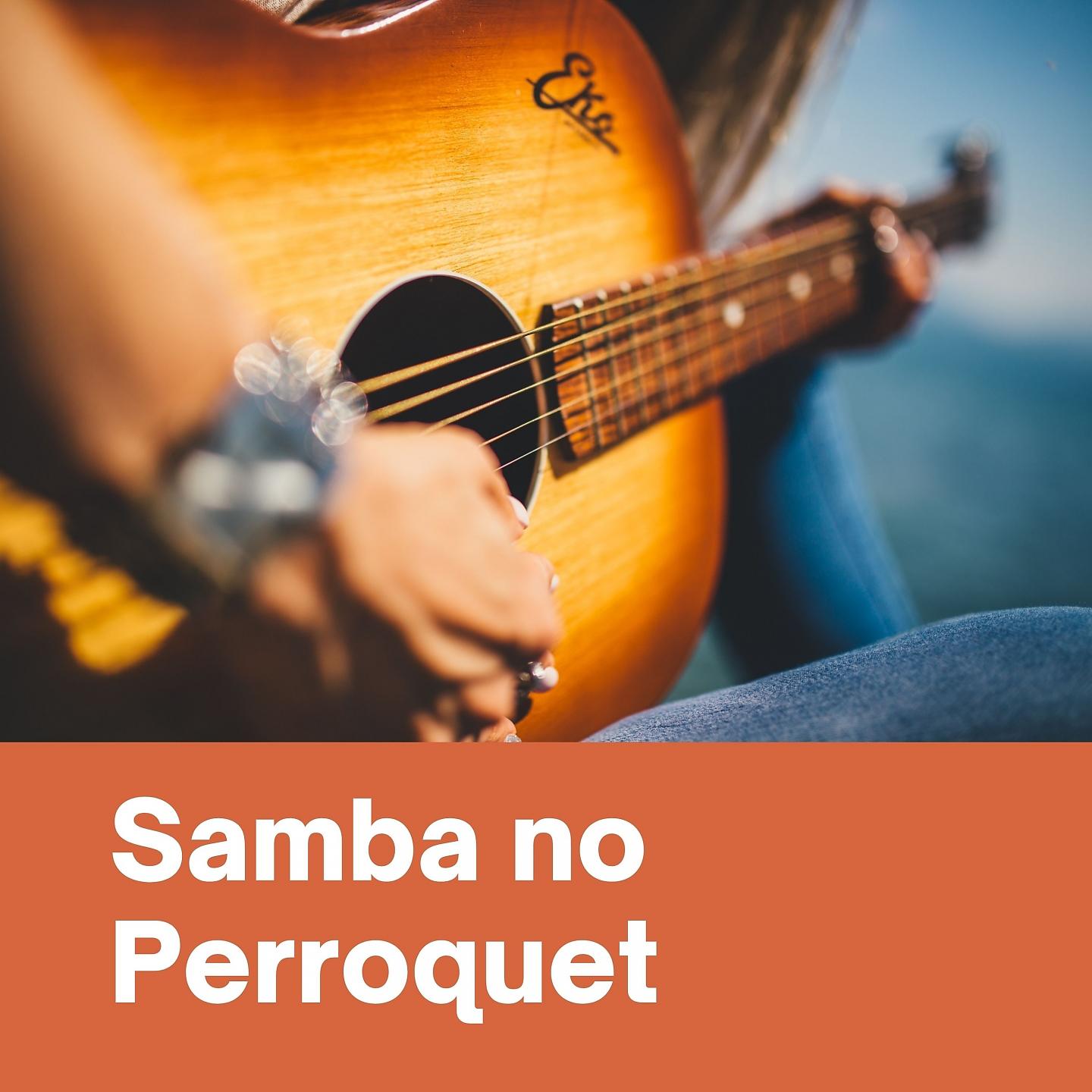 Постер альбома Samba no Perroquet