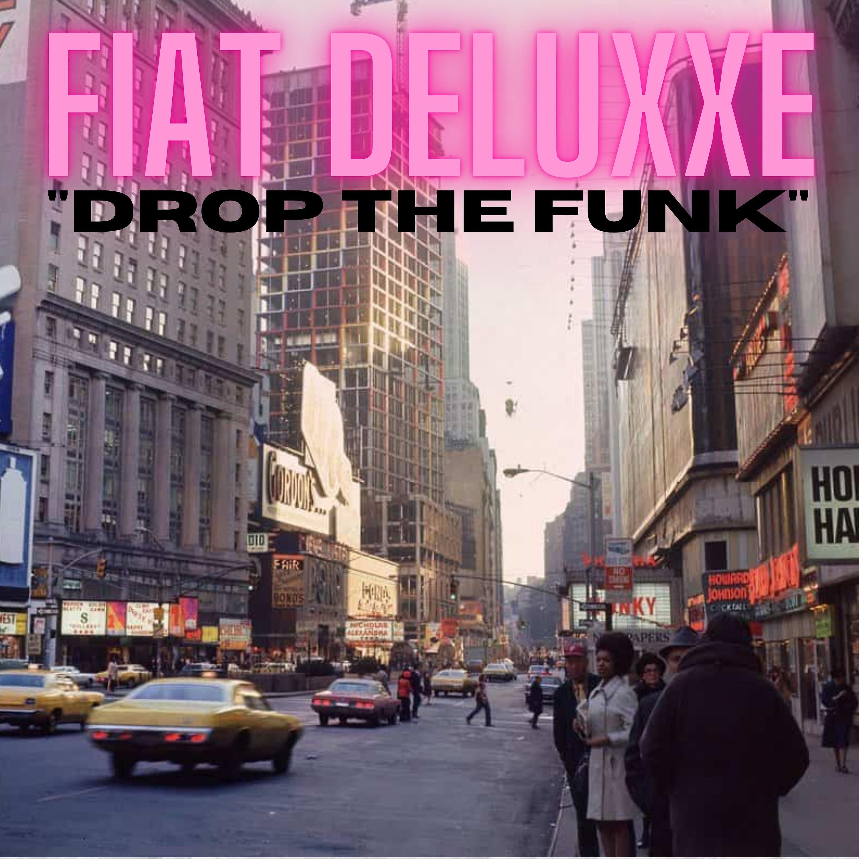 Постер альбома Drop the Funk
