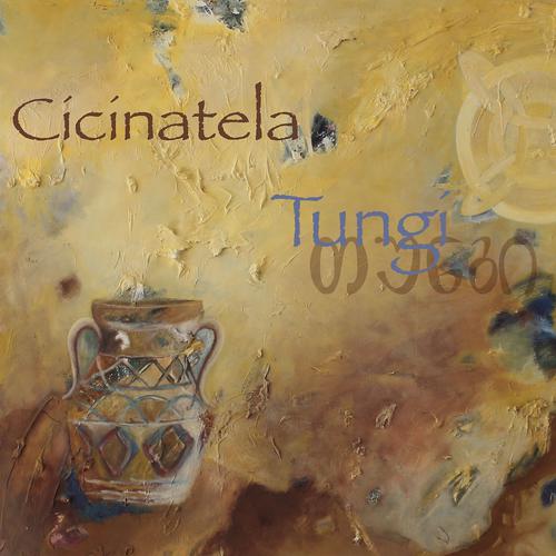Постер альбома Tungi