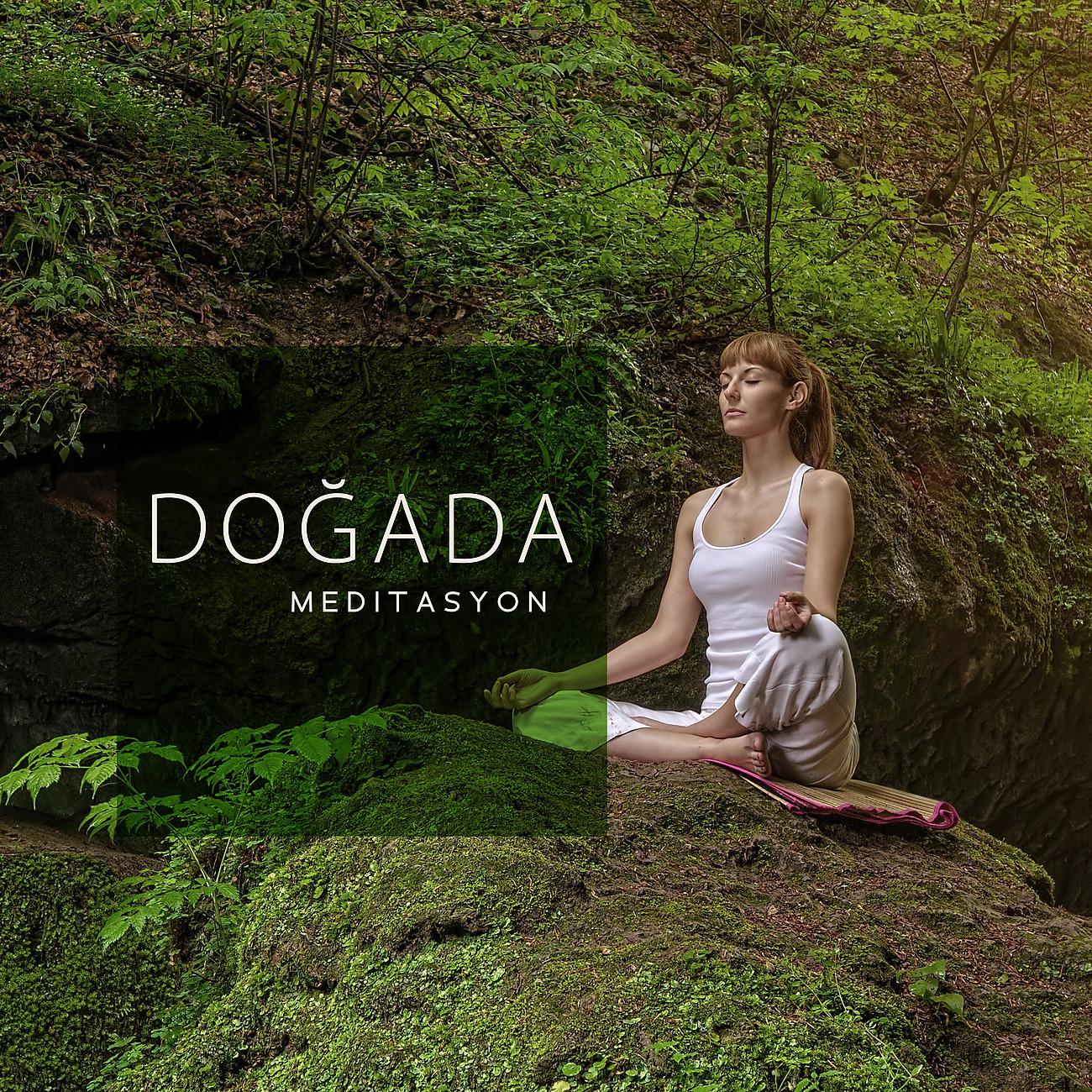 Постер альбома Doğada Meditasyon