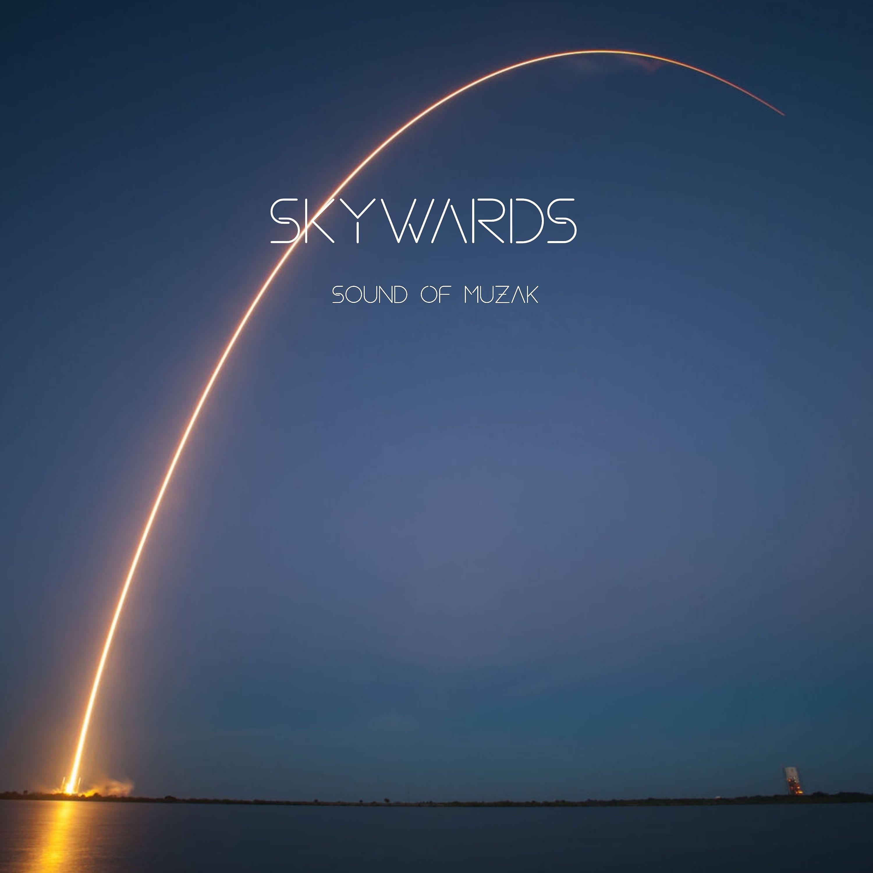 Постер альбома Skywards