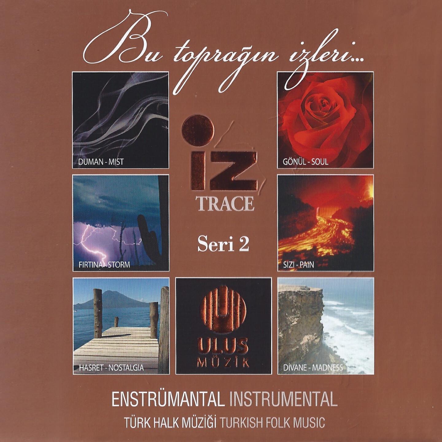 Ali Osman Erbaşı - Bahçada Yeşil Çınar