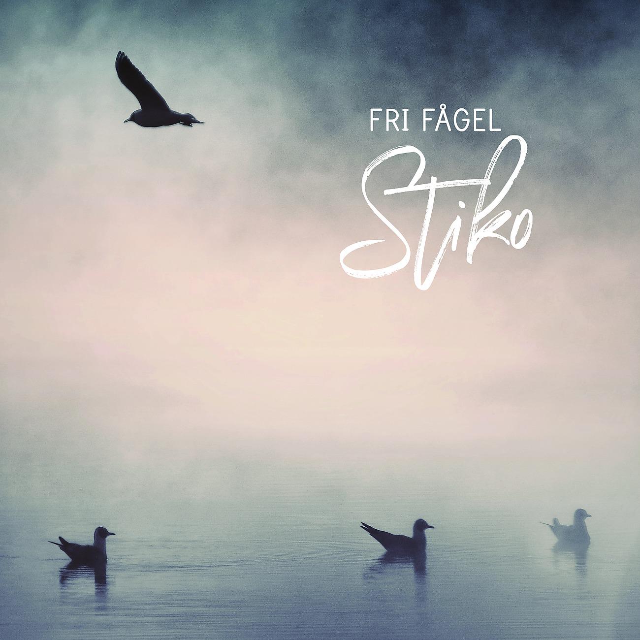 Постер альбома Fri fågel
