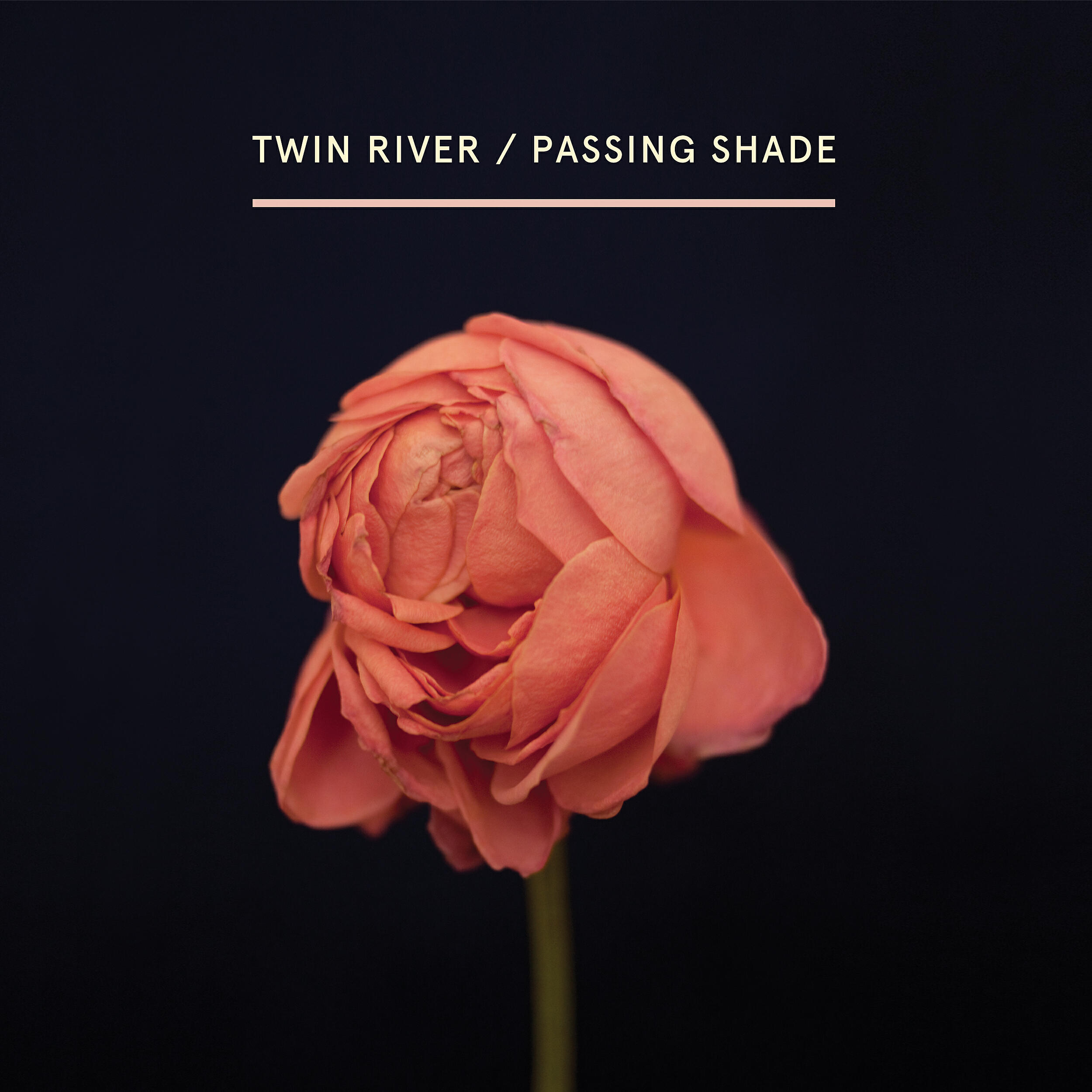 Twin River - Settle Down