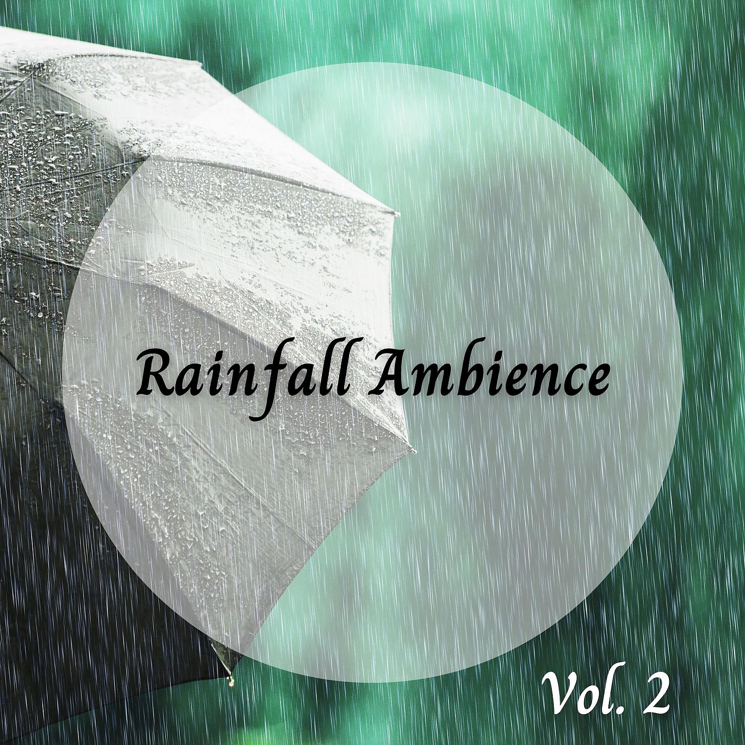 Постер альбома Rainfall Ambience Vol. 2