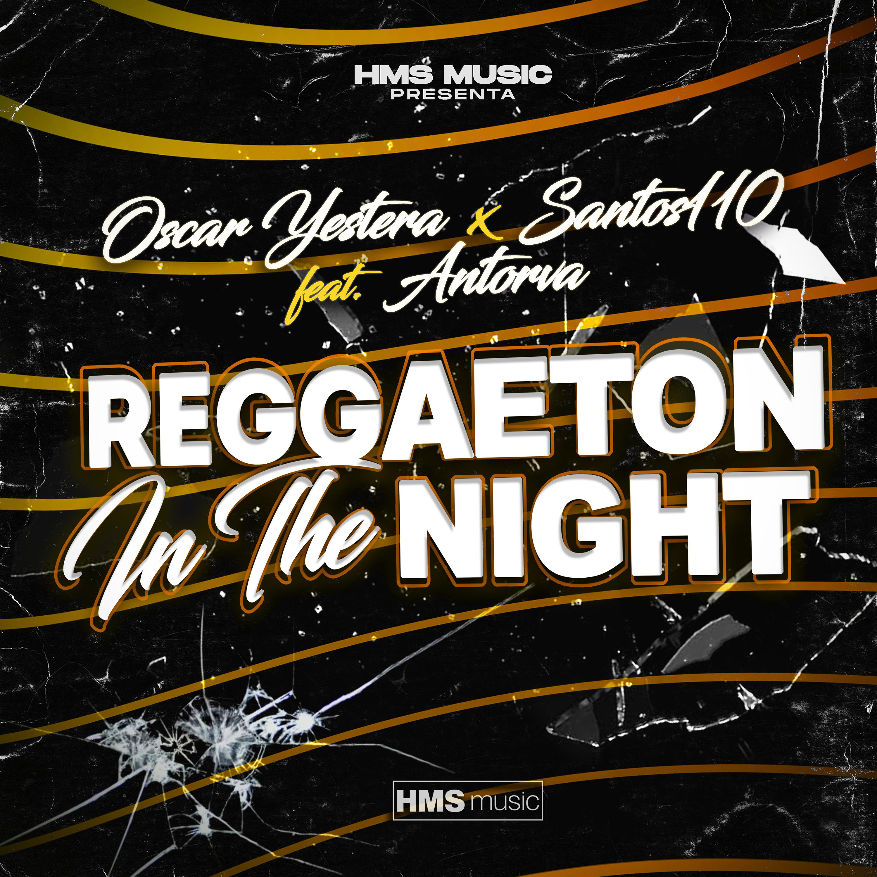 Постер альбома Reggaeton In The Night