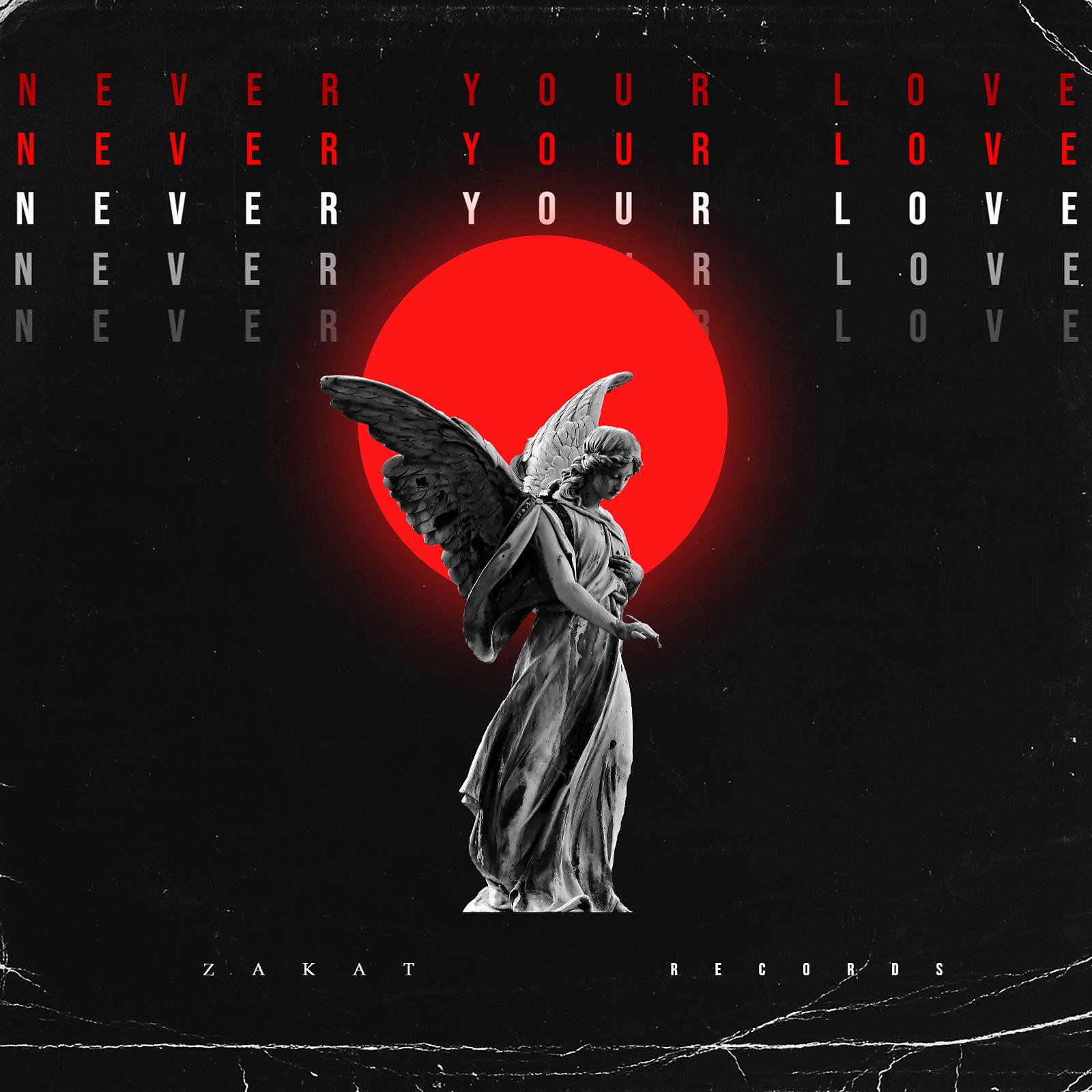 Постер альбома Never Your Love