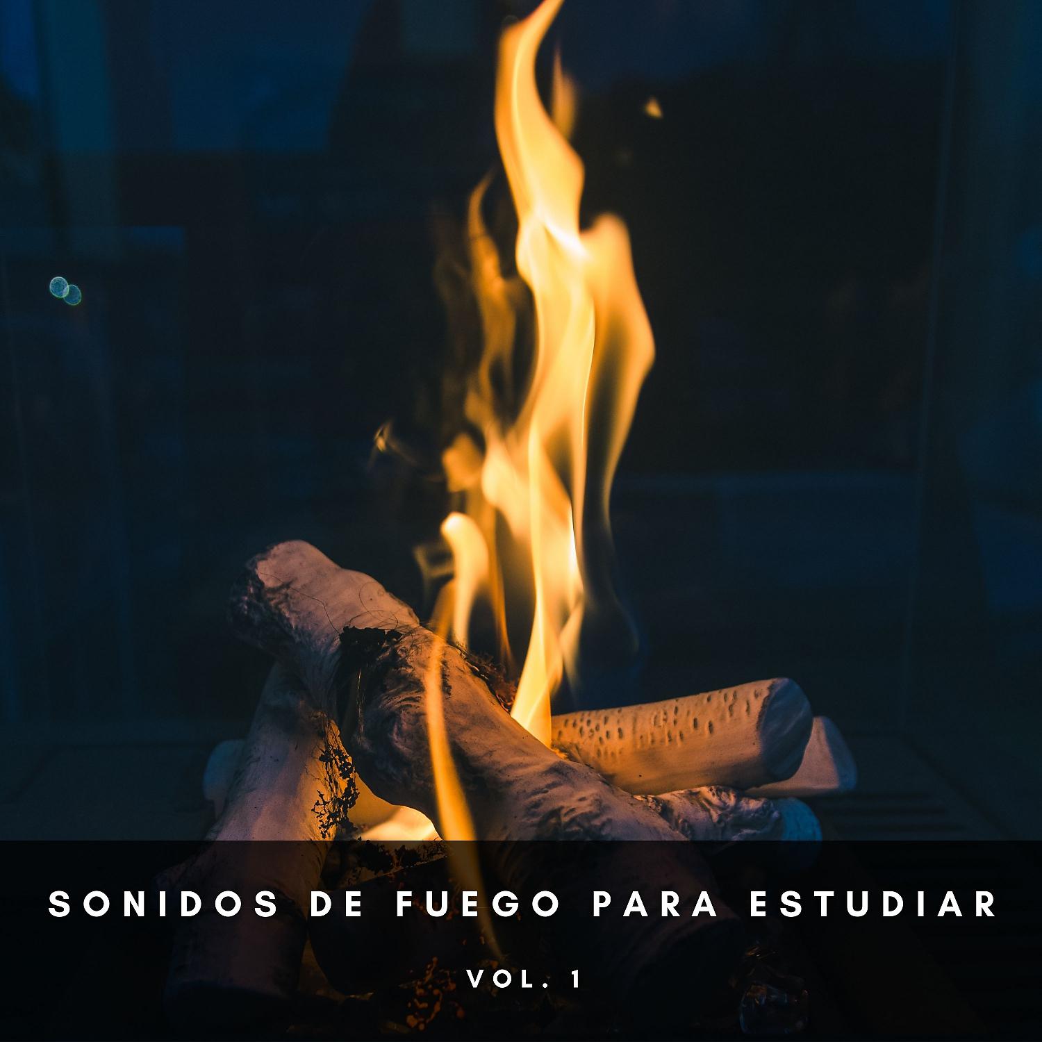 Постер альбома Sonidos De Fuego Para Estudiar Vol. 1