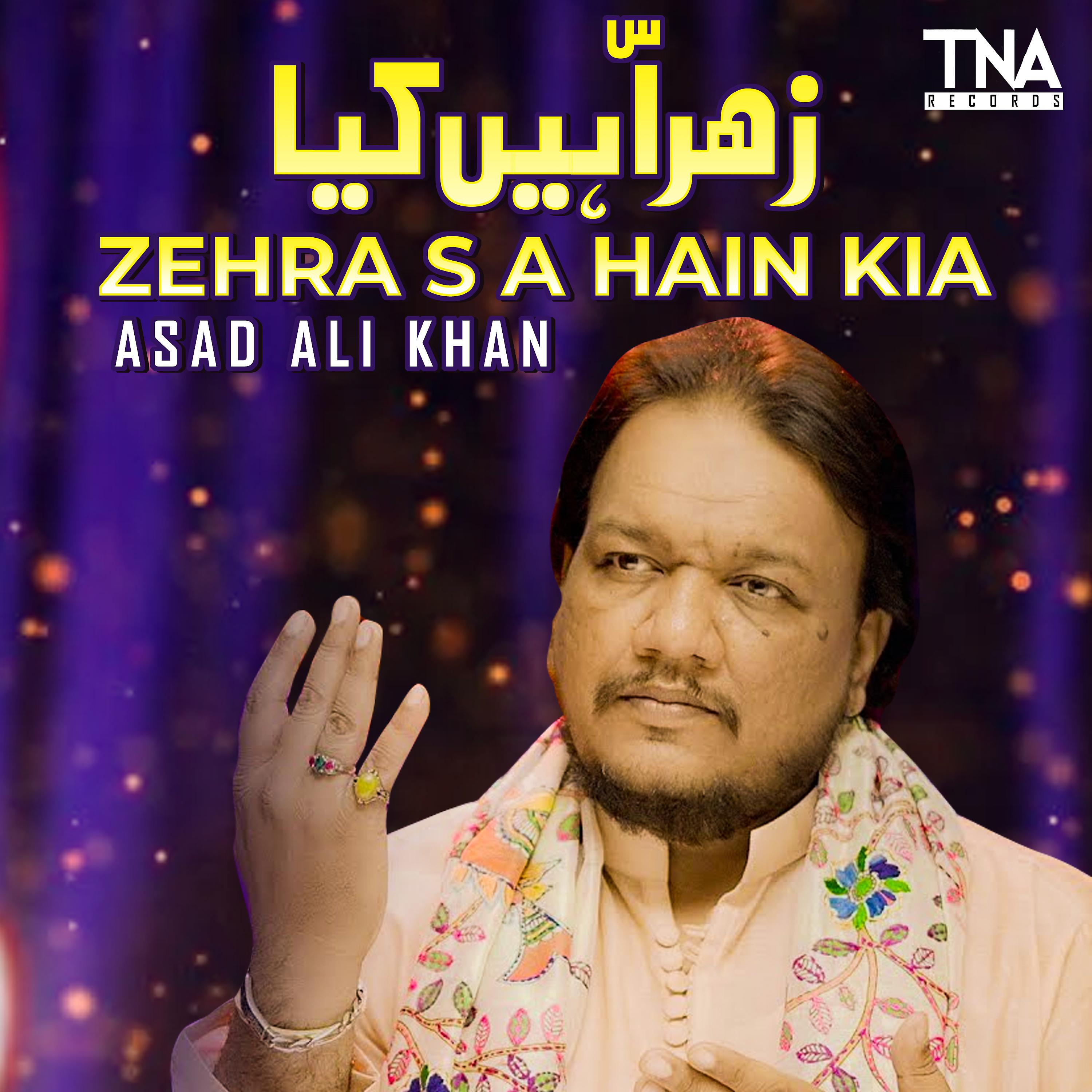 Постер альбома Zehra S A Hain Kia - Single