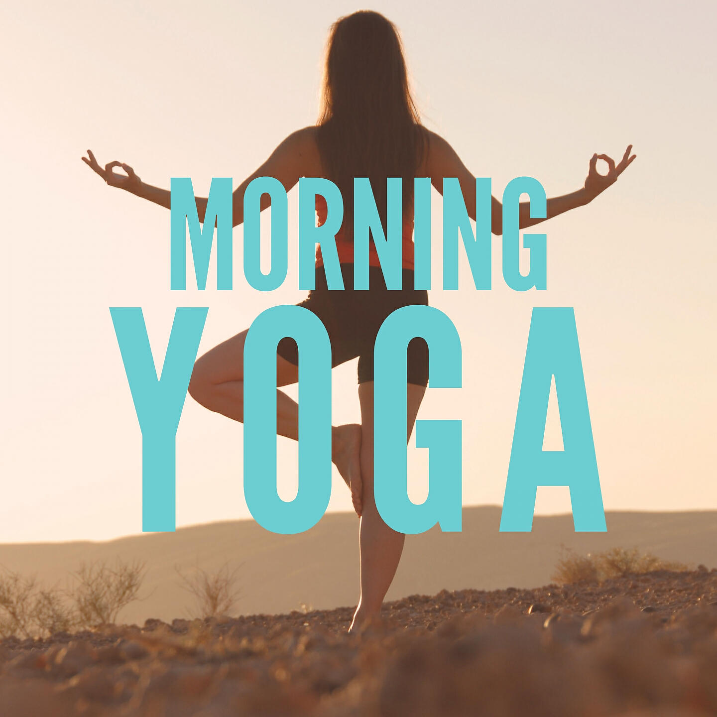 YOGA - Pidgeon