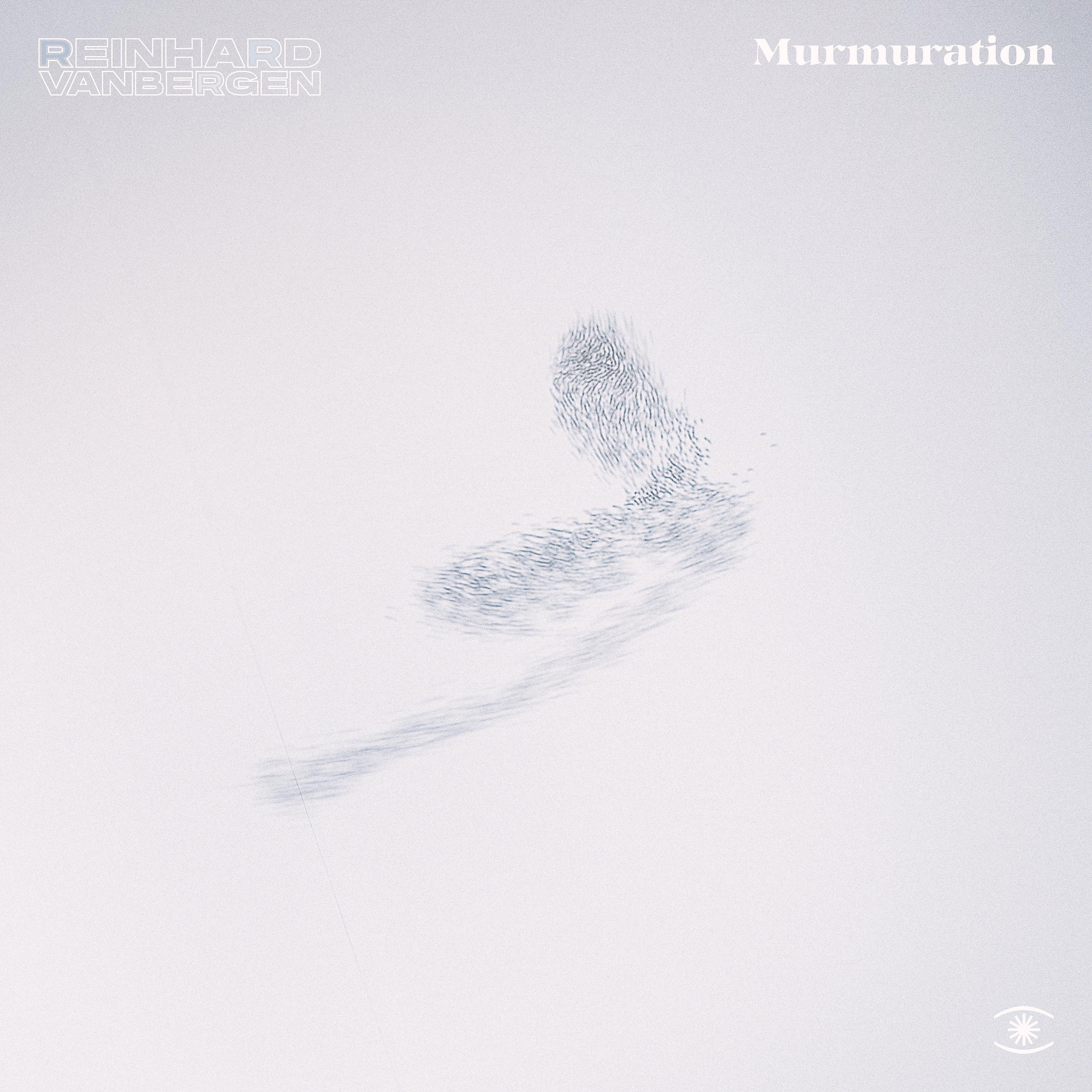Постер альбома Murmuration