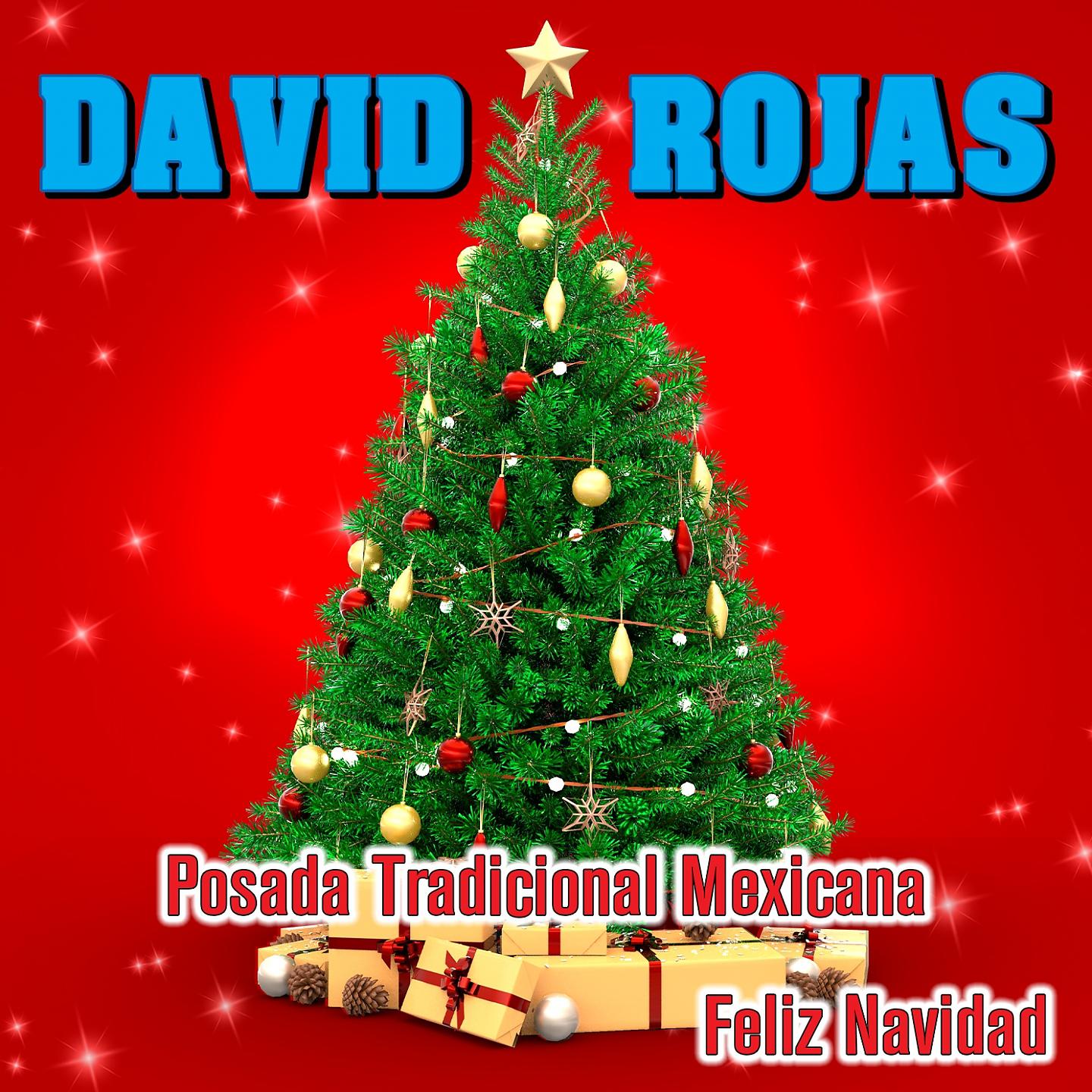 Постер альбома Posada Tradicional Mexicana