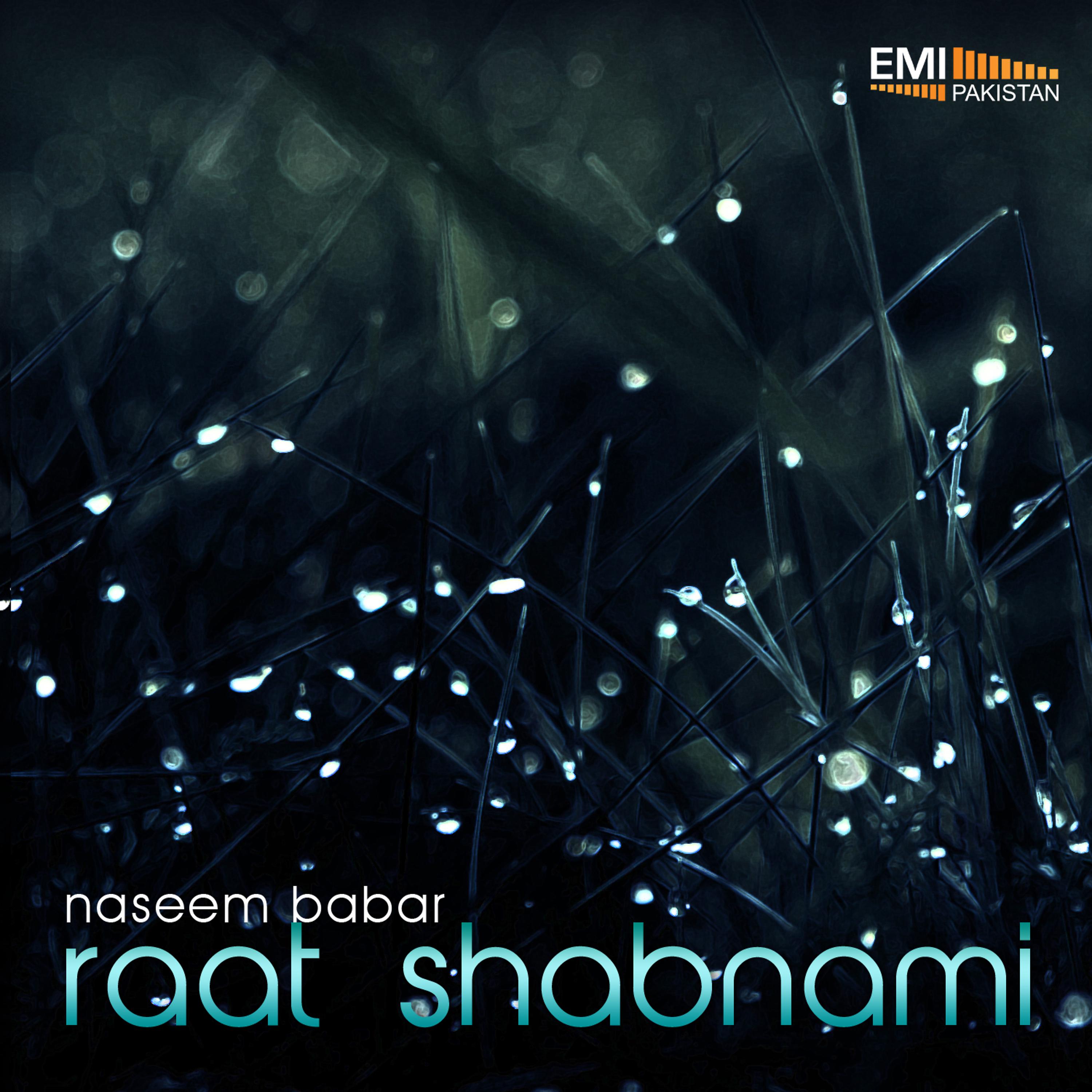 Постер альбома Raat Shabnami
