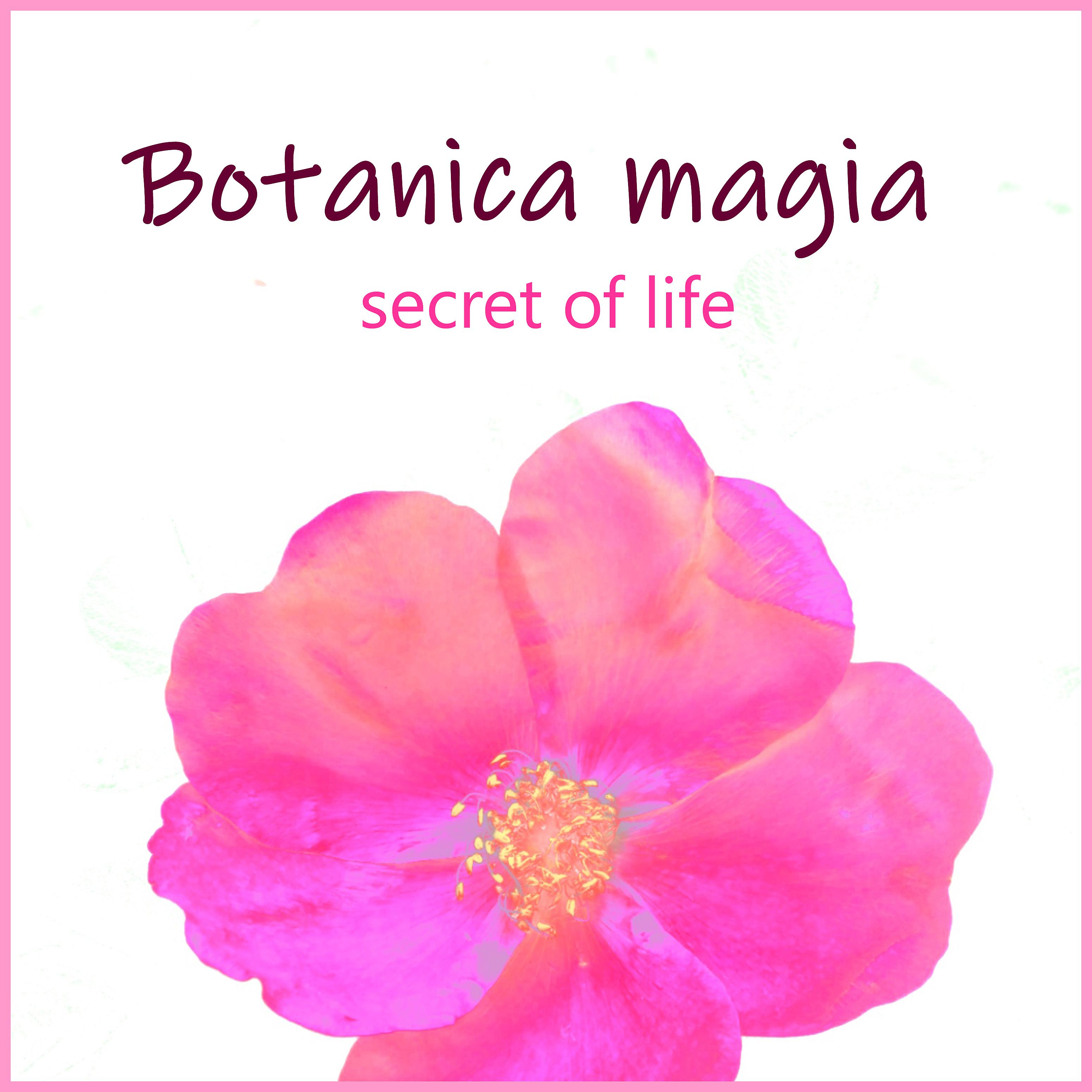 Постер альбома Secret of Life