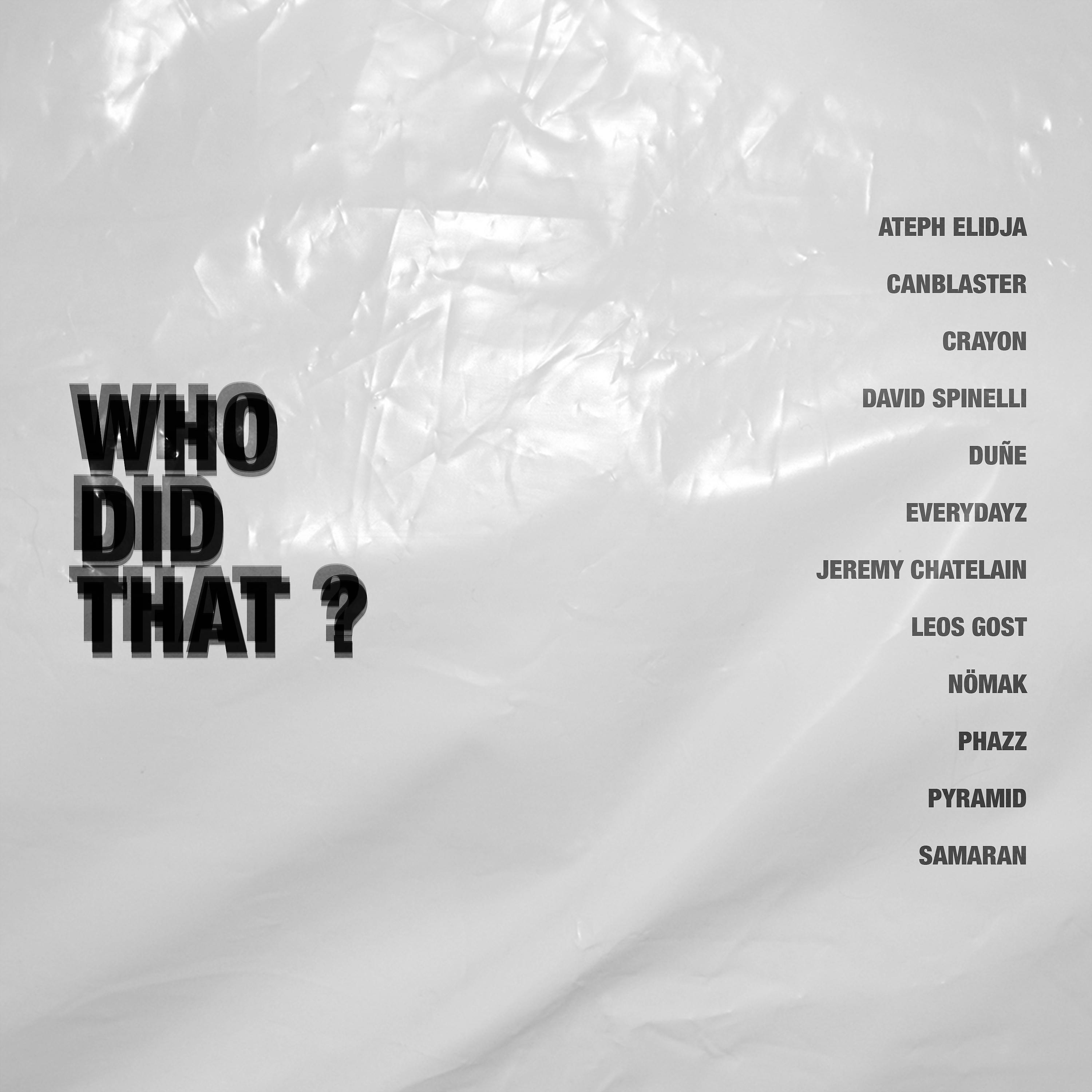 Постер альбома Who did that ? Vol. 1