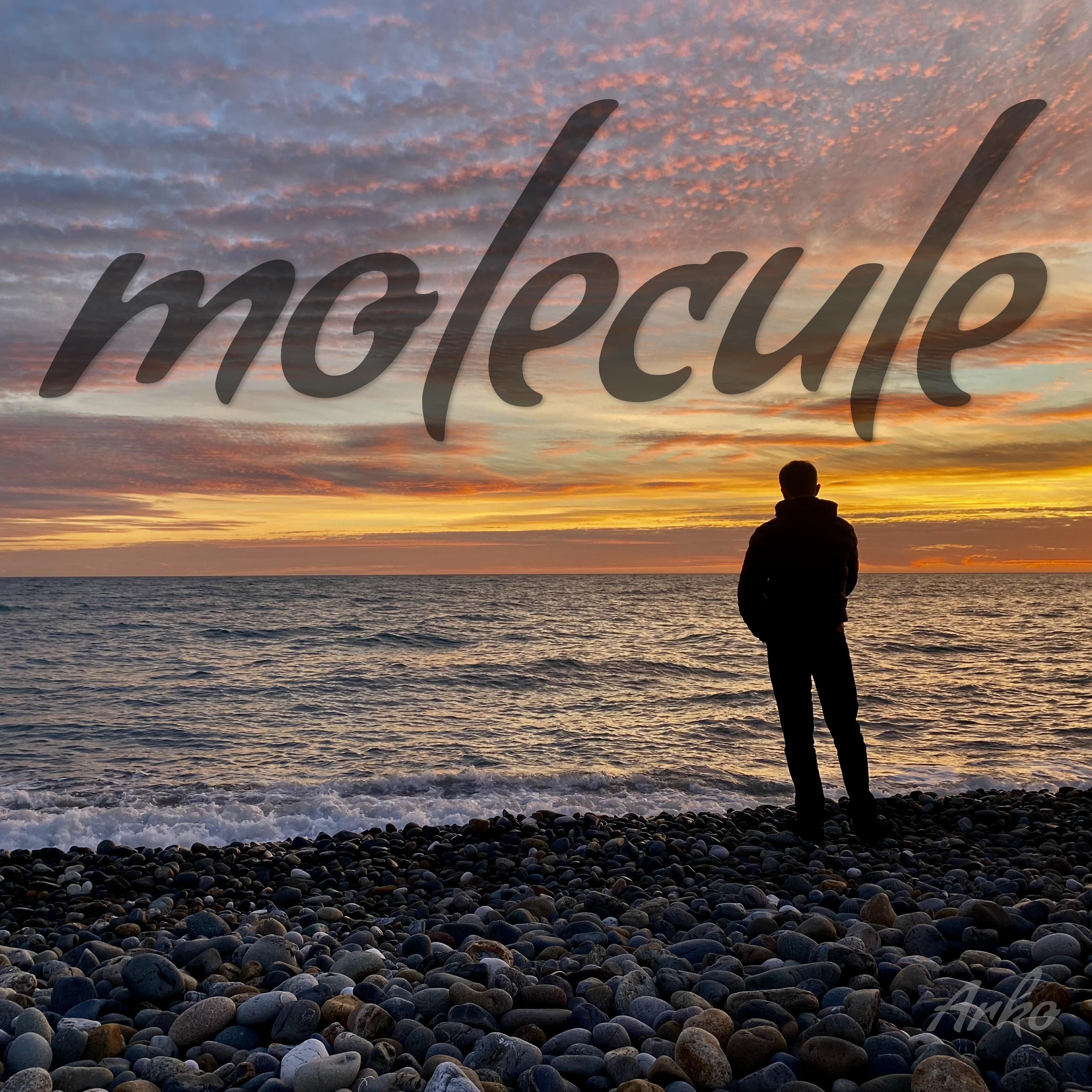 ARKO - Molecule